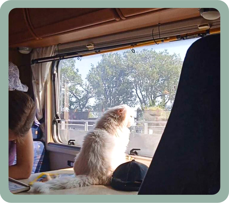 ДОПОЛНИТЕЛЬНЫЕ УСЛУГИ. Кемпердлявас — аренда Автодома для путешествий по Белоруссии! Путешествуйте с комфортом!