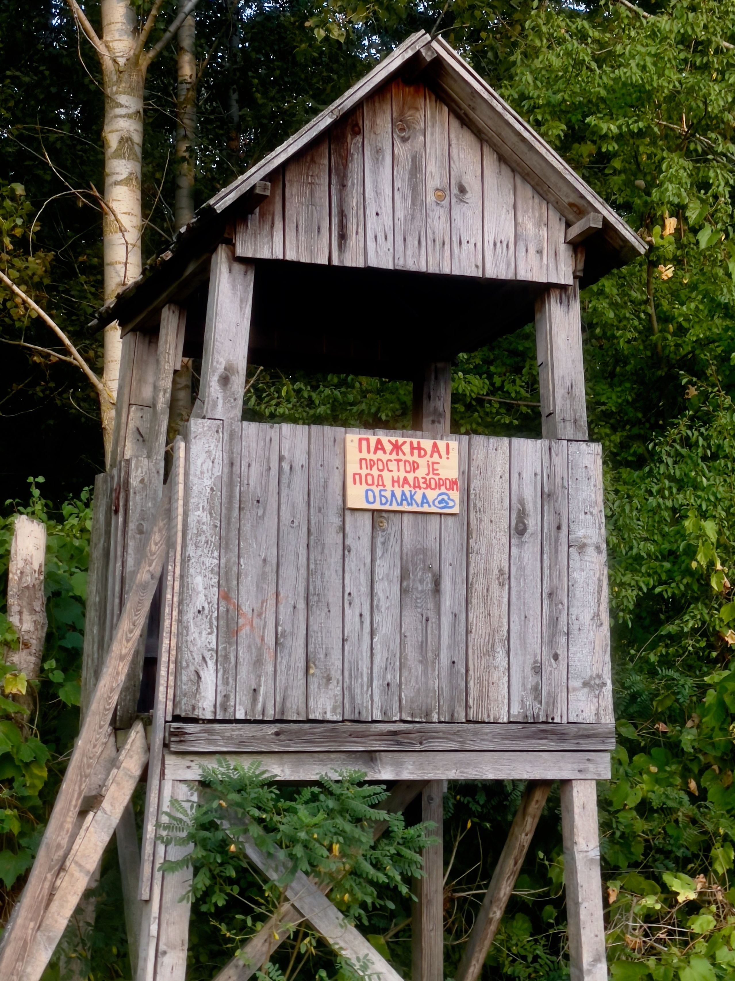 Наталия Бабинцева — ВЫДЕЛЕННАЯ ТЕРРИТОРИЯ: прогулки с N