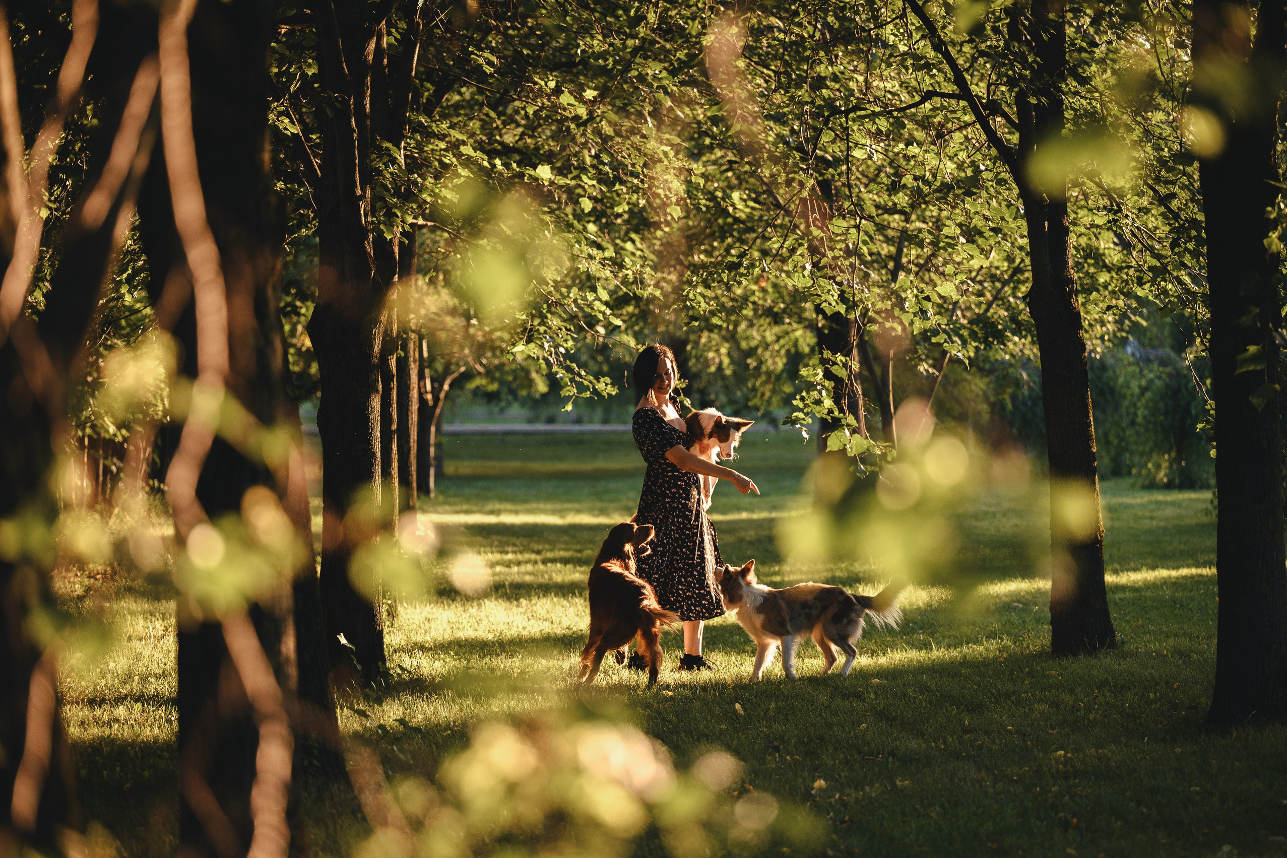 Стоимость. Семейный фотограф анималист Ананьева Мария — Москва