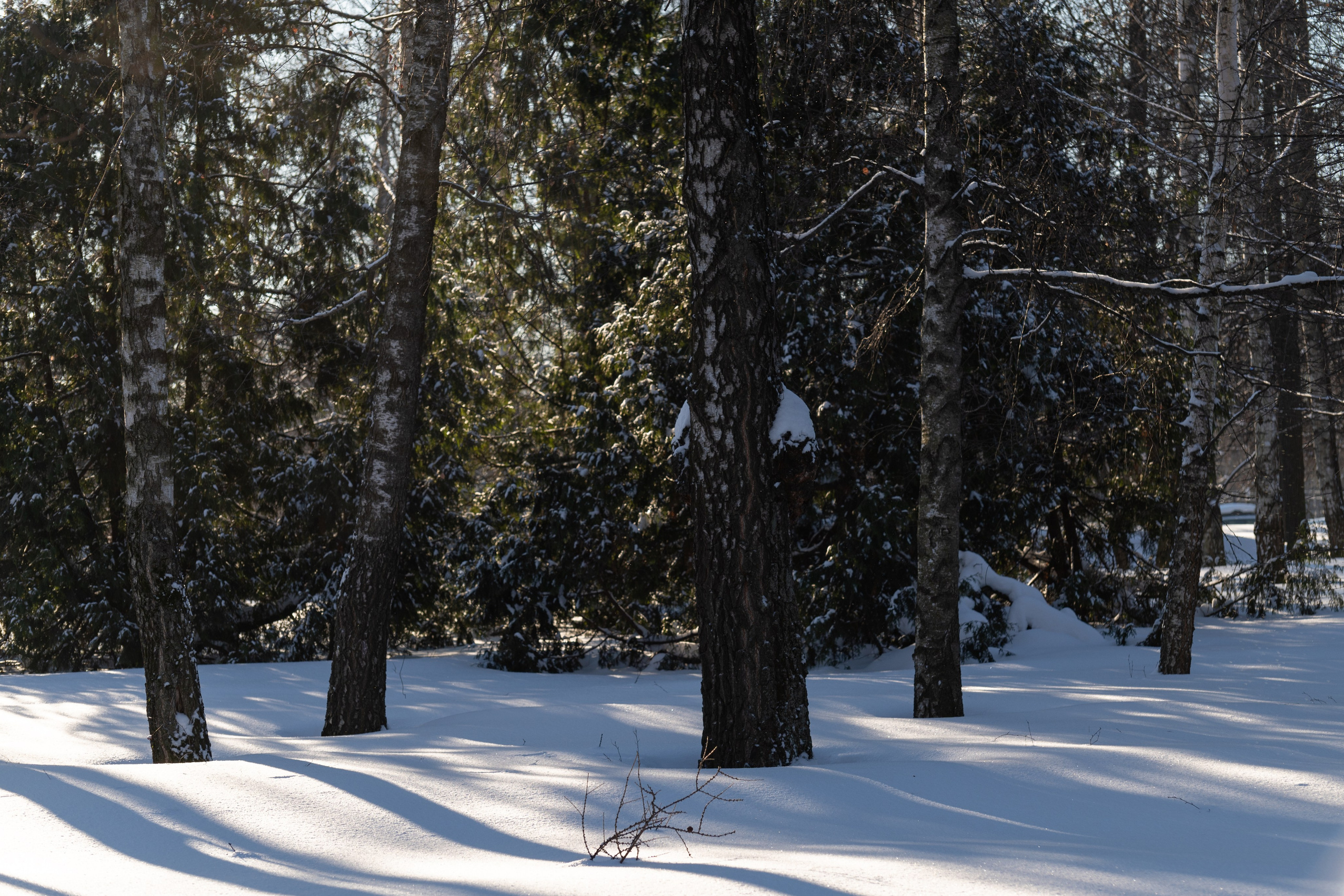 Список альбомов. Дмитрий Ремизов. Фотография, как хобби