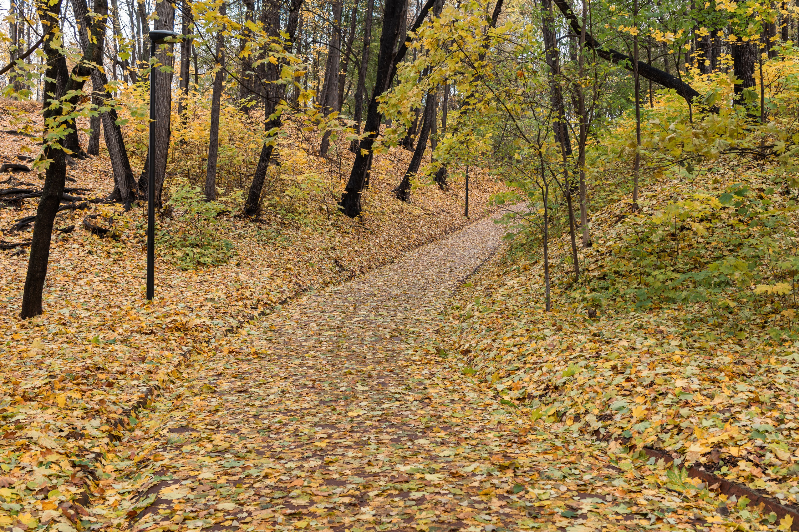 Список альбомов. Дмитрий Ремизов. Фотография, как хобби