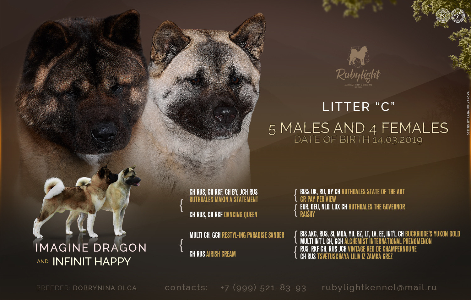 ПОМЕТЫ американских акит. AMERICAN AKITA RUBYLIGHT KENNEL I SHIBA-INU