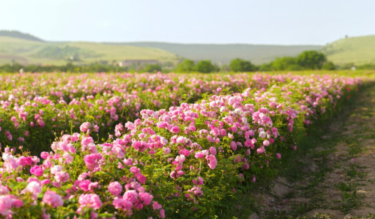 Локации для фотосессий в Крыму. Фотограф, фотосессии «Всё включено» в Москве и Московской области