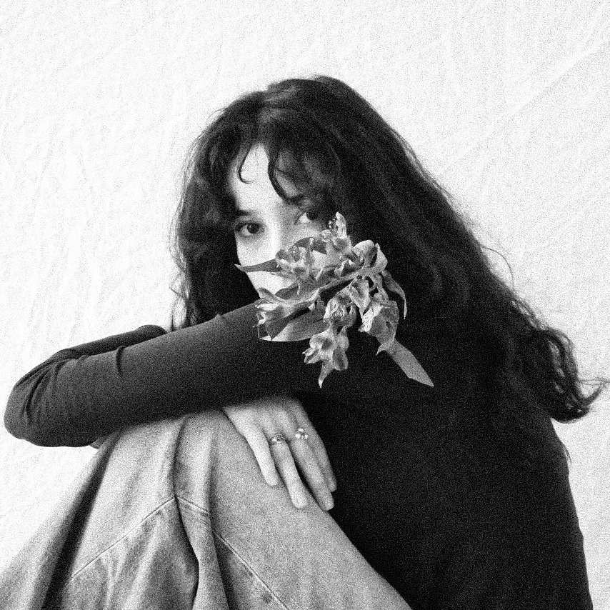 Контакты. SIINCERITTE