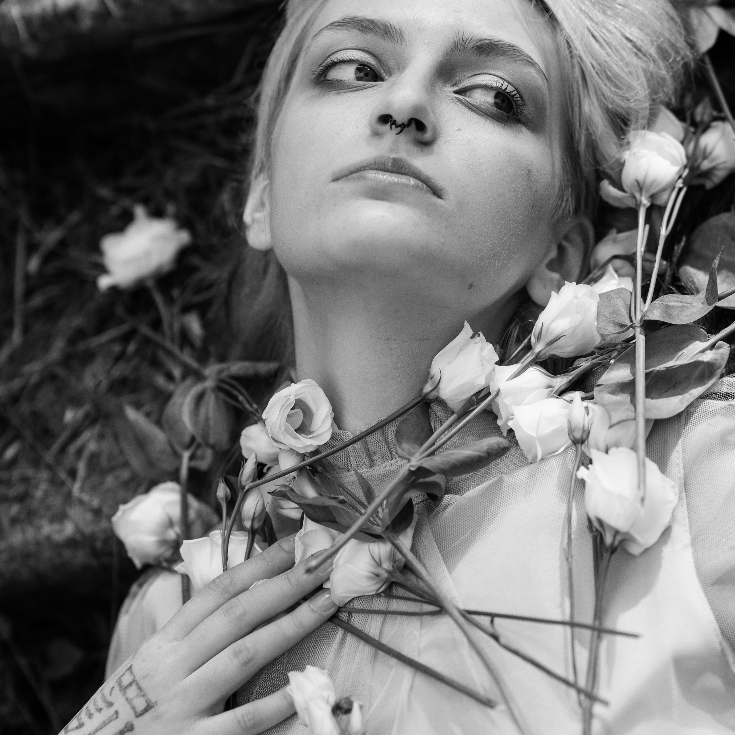 Прайс. Фотограф Надежда Савосина