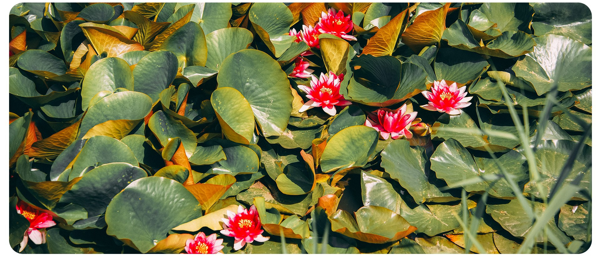 Калининград 1. Фотограф из Москвы — DASHA NOVA | Авторская фотография в разных жанрах