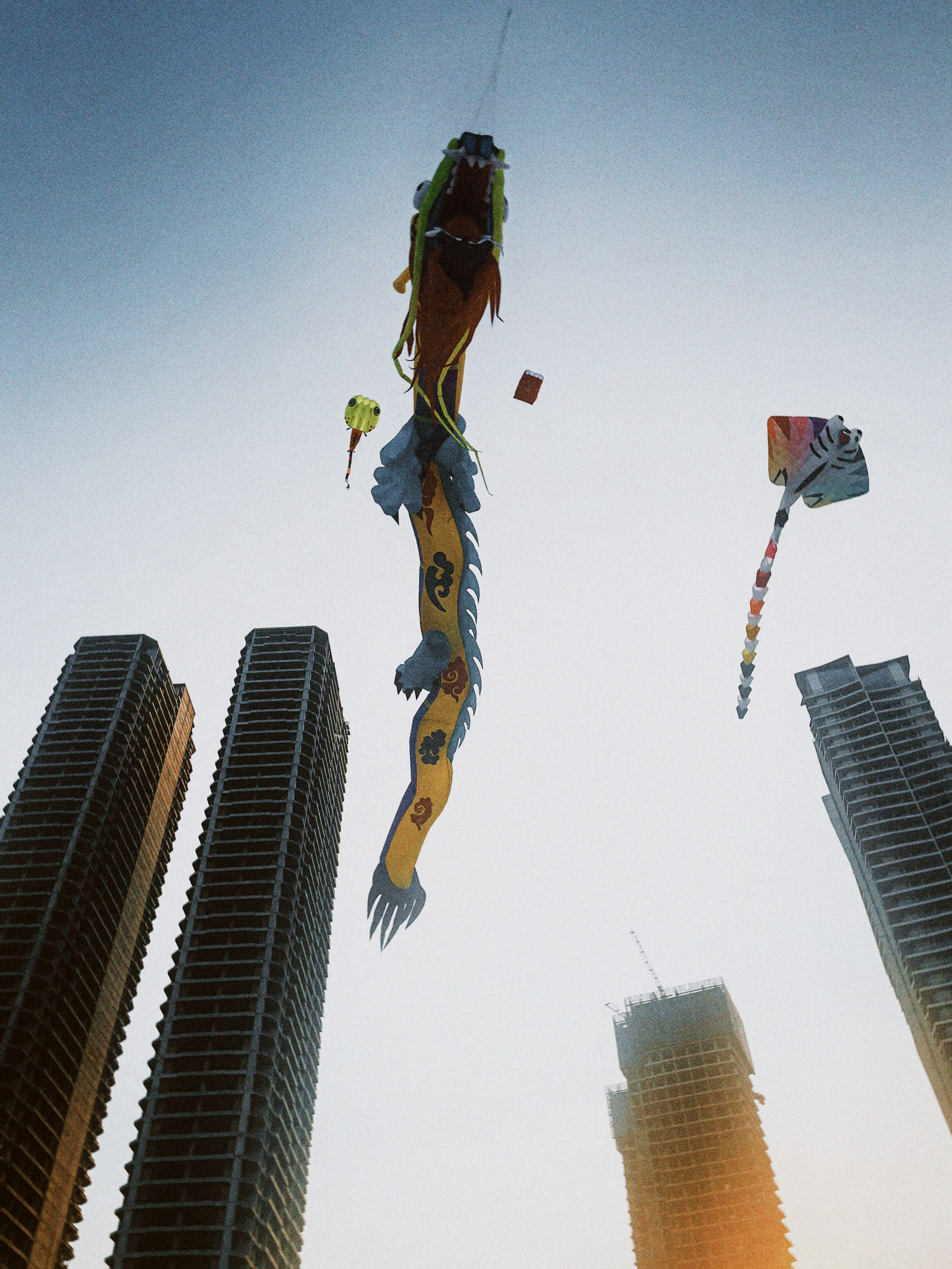 Запускали змея на лучшем пляже Дананга