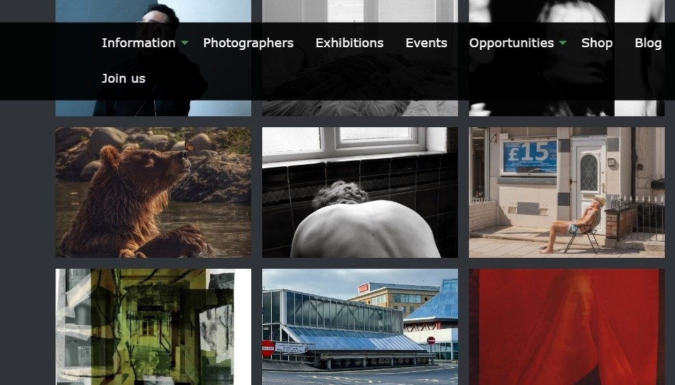 EXBITION: YEARBOOK 2023. Арт фотограф Алина Гребешкова, Химки, Москва