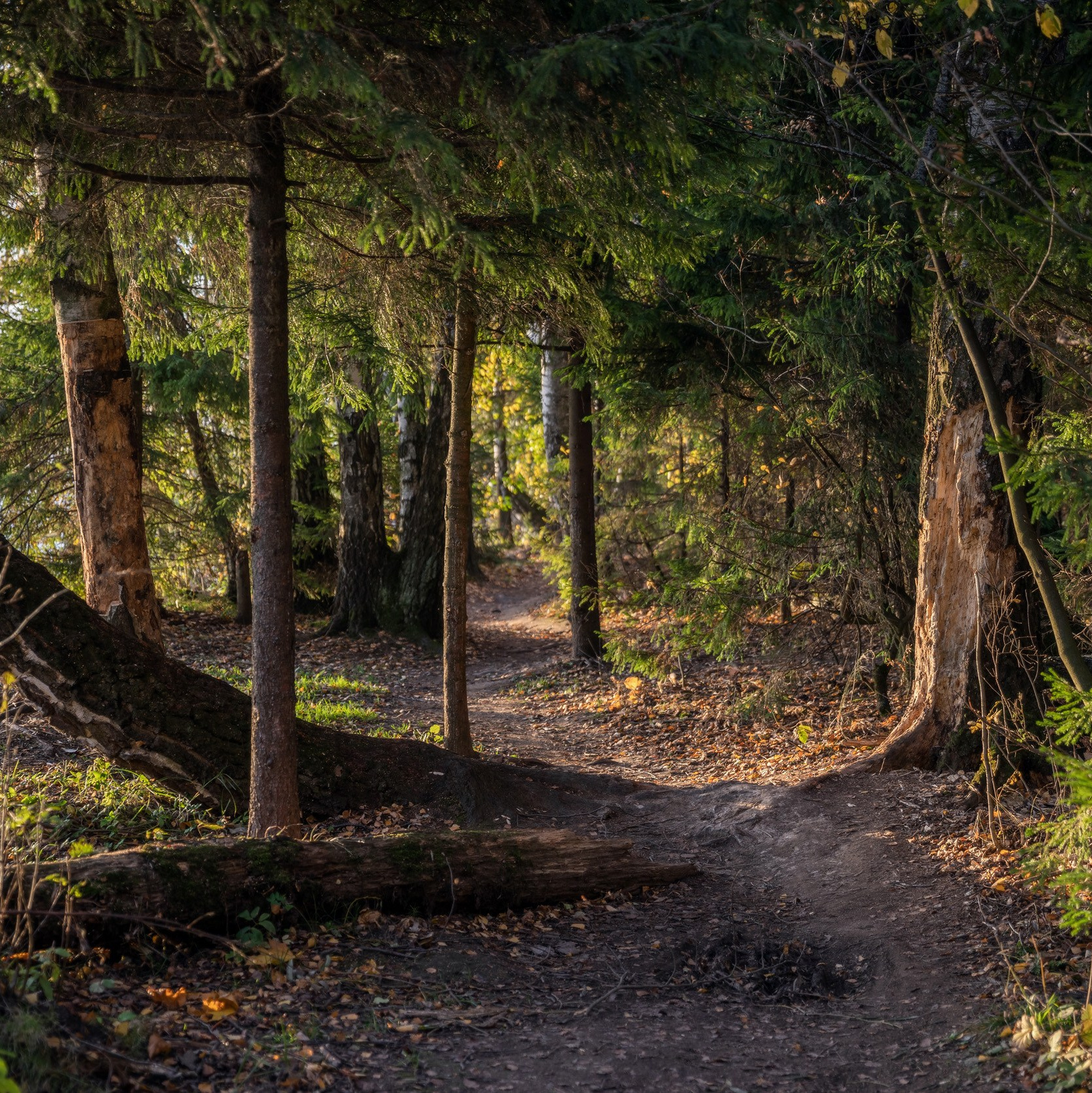 Портретный фотограф Станислав Жуков | Москва