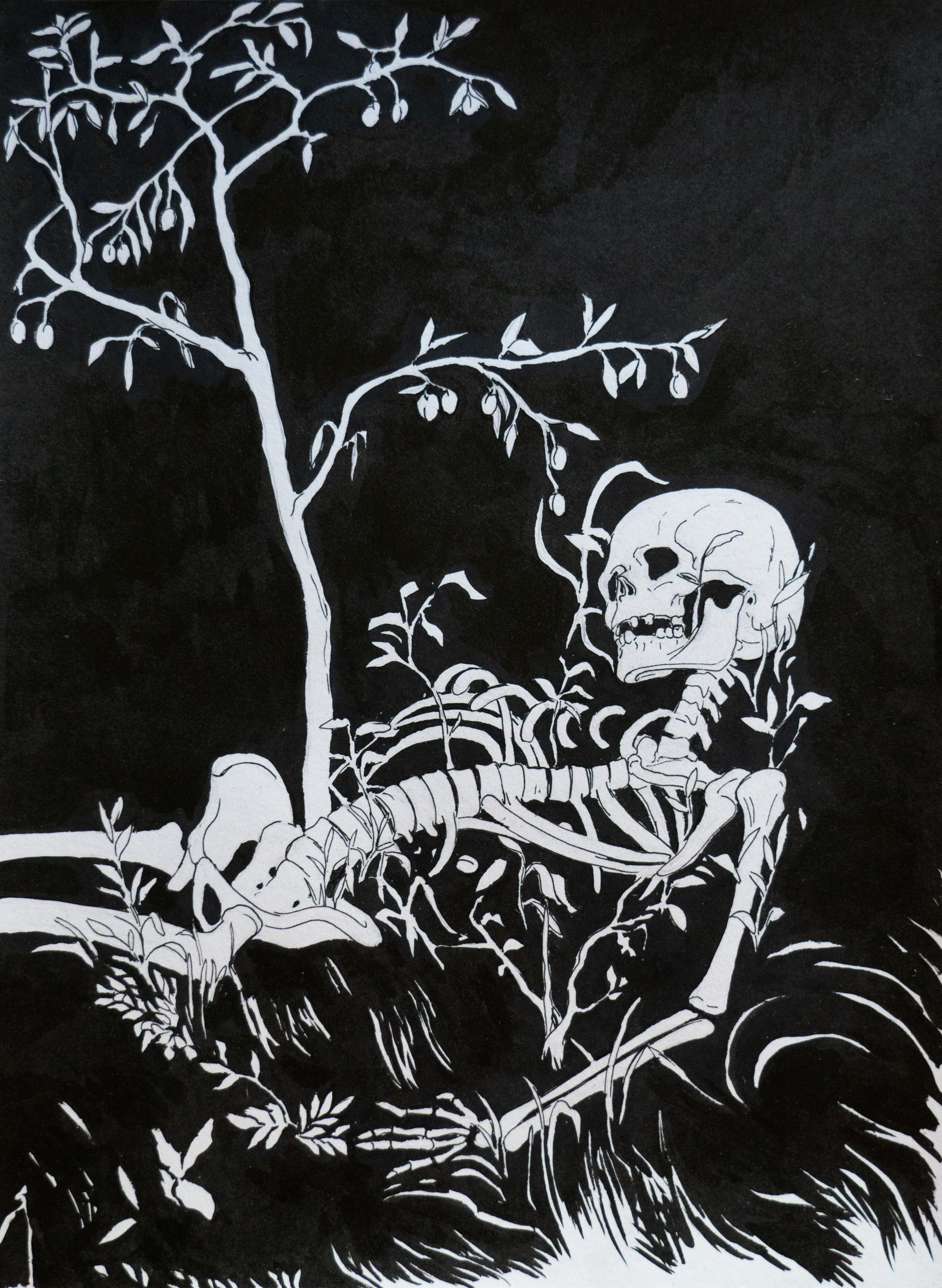 Локус. Anna Vishnevskaya