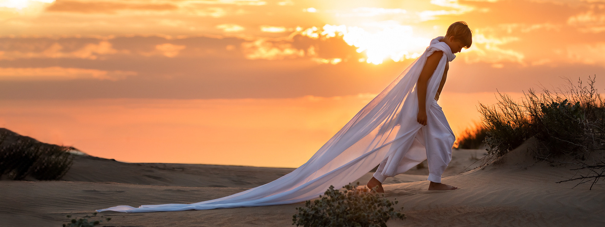 Фотограф/ Москва и МО/ Обучение