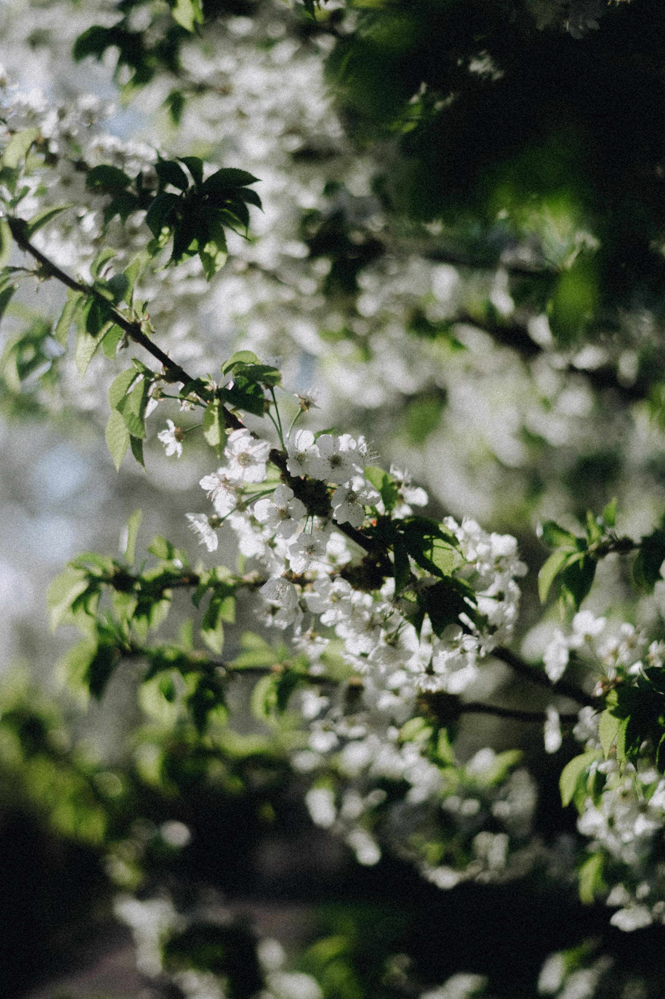 Что лежит у меня в шкафу для съемок и сколько это всё стоит