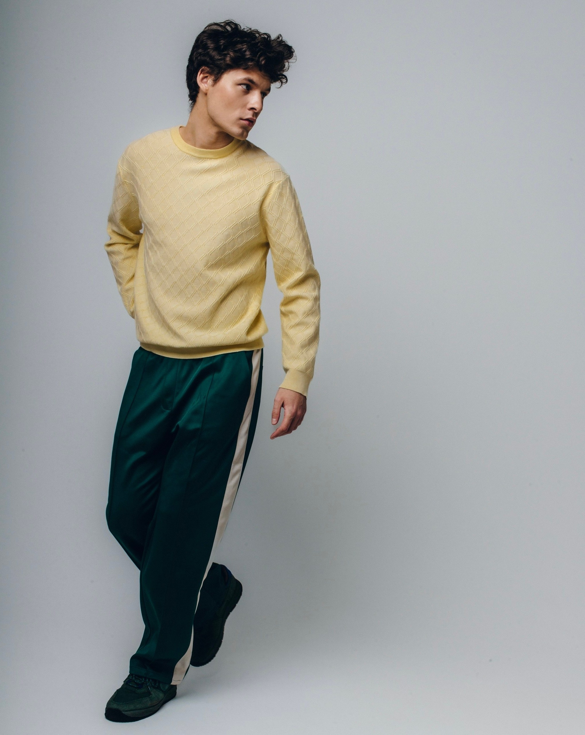 Мои параметры. Лев Лекомцев модель