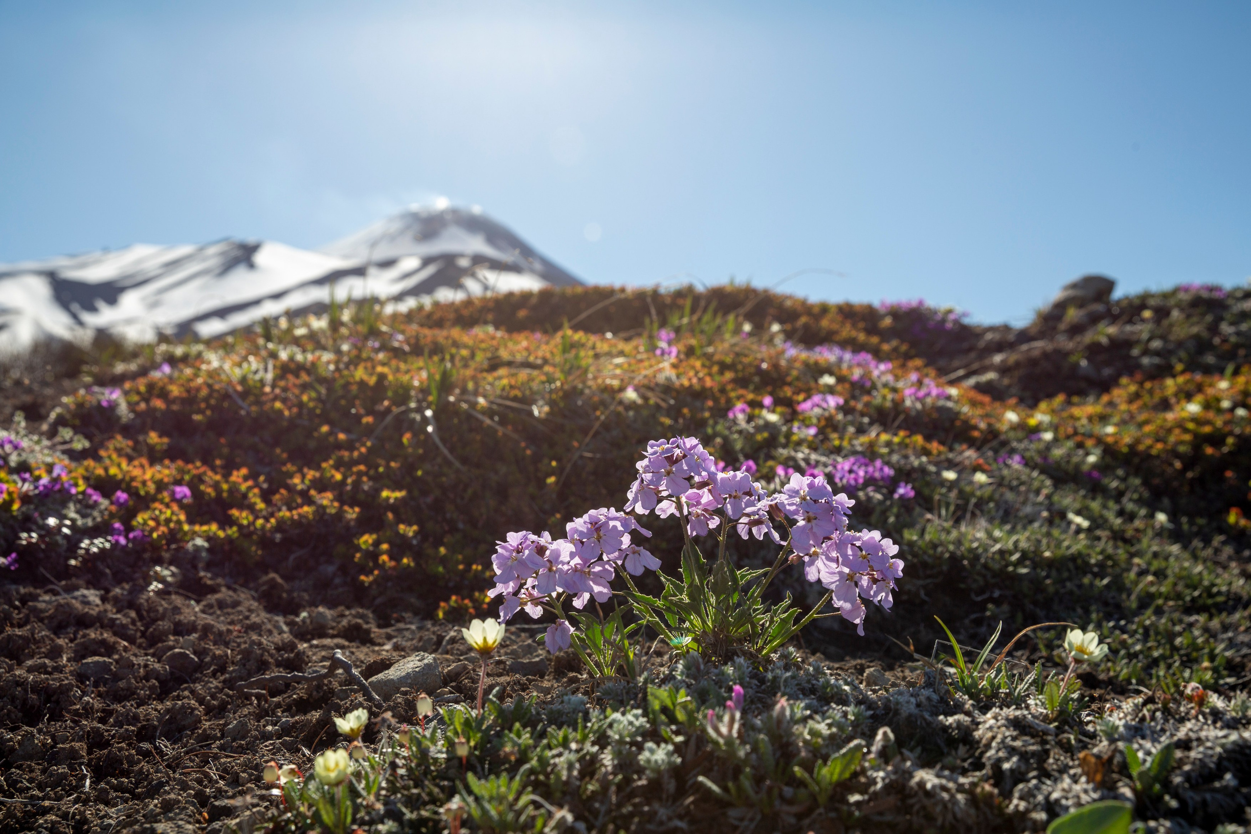 Камчатка + Сахалин — экспедиция в два региона за одну поездку. Время Камчатки: чтобы найти свой путь, нужно скорость умножить на время
