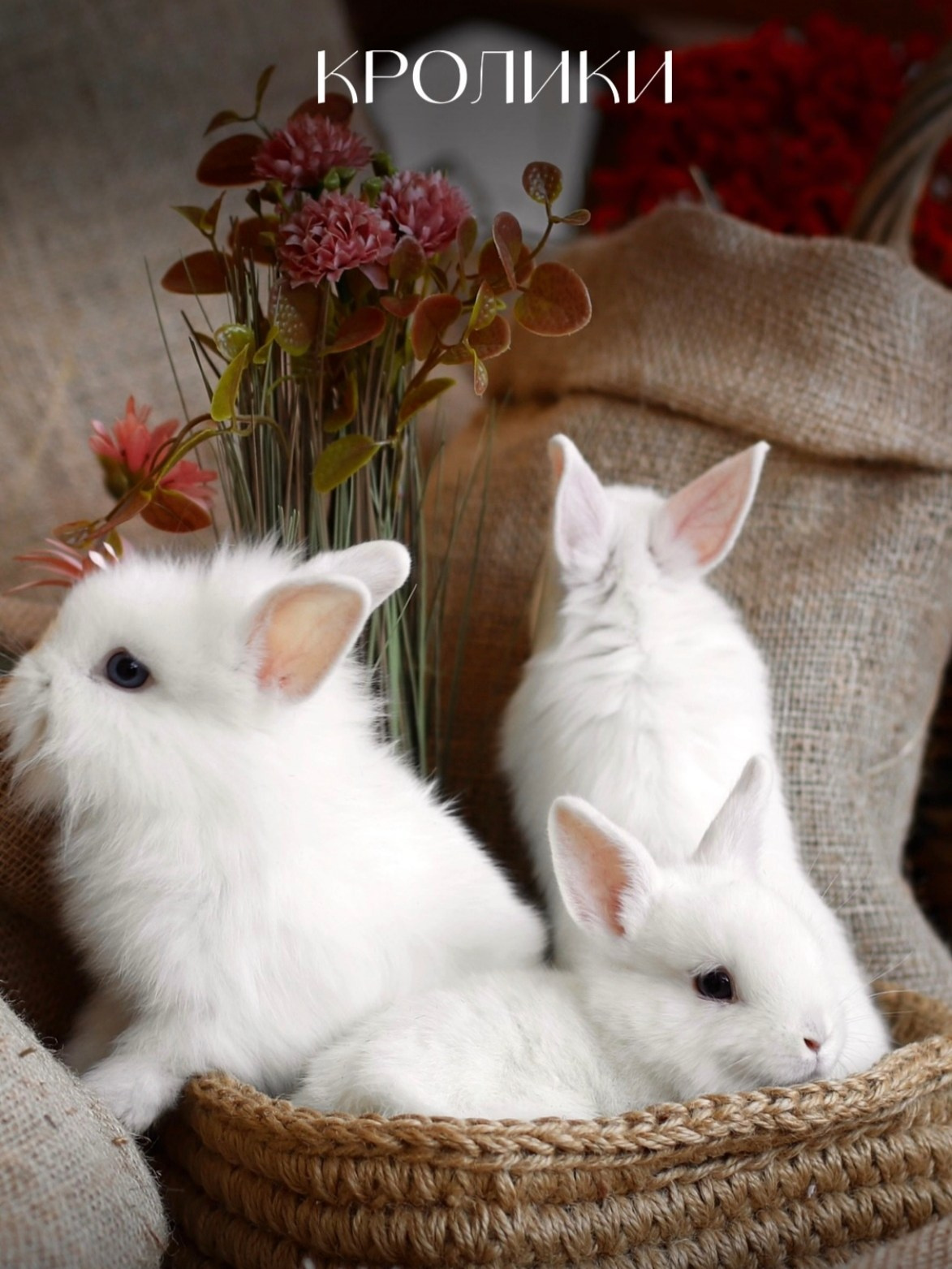 Пасхальные фотосессии 2025. Фотограф в Санкт-Петербурге, Анна Скворцова