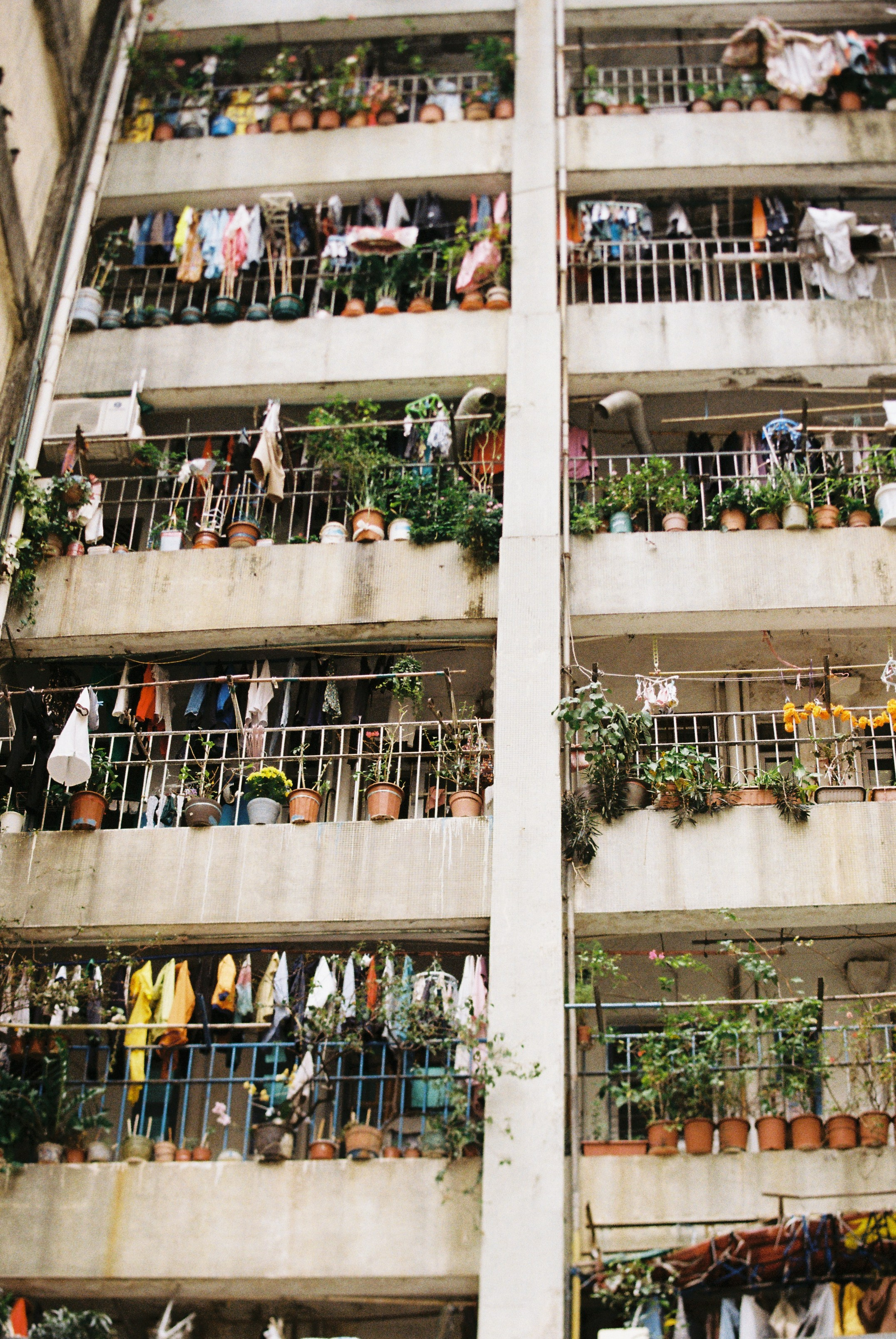 The city praised the camera. Daria Blinova