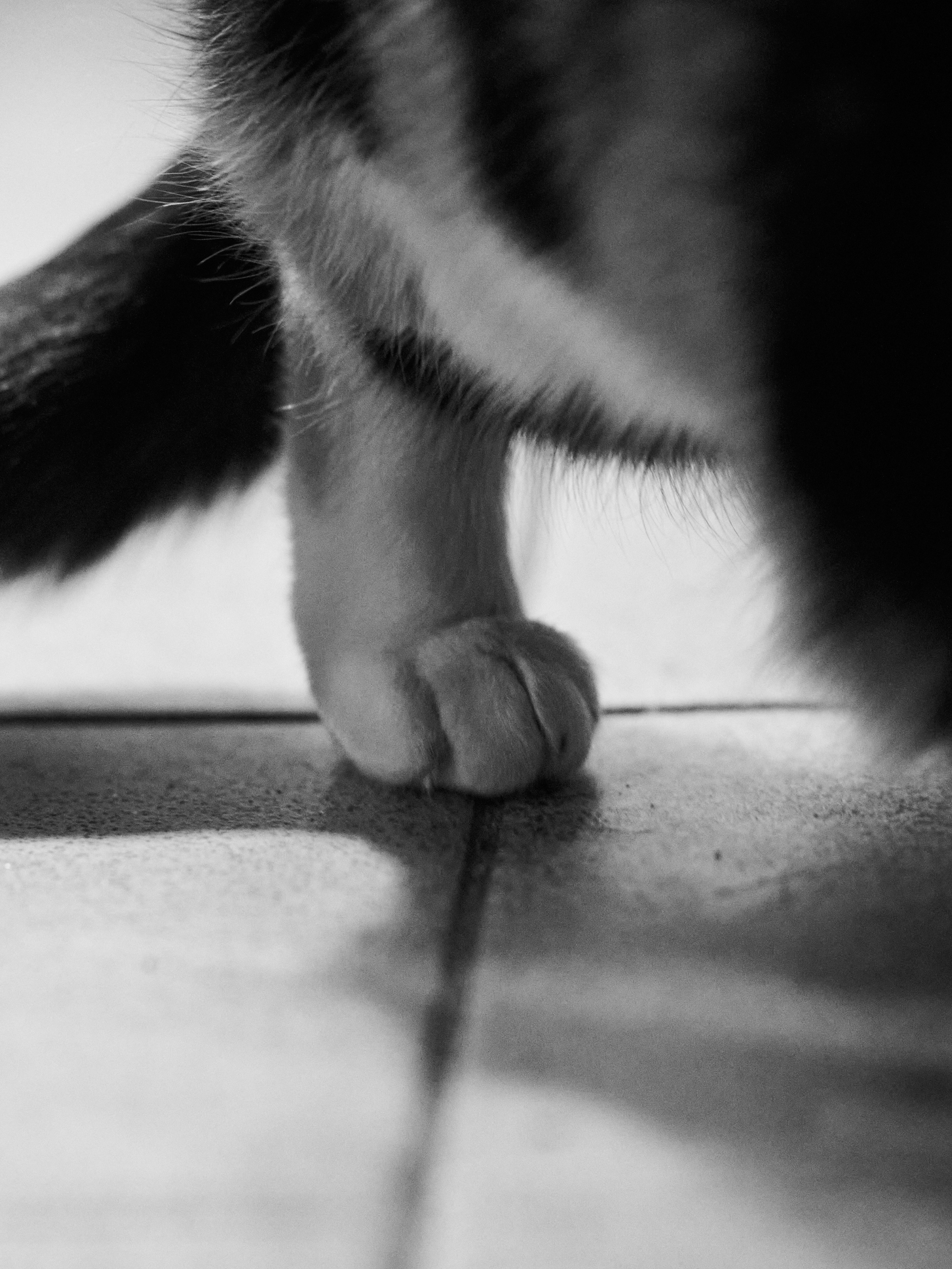 Высота Эфа. Фотограф в Москве Анастасия Баева