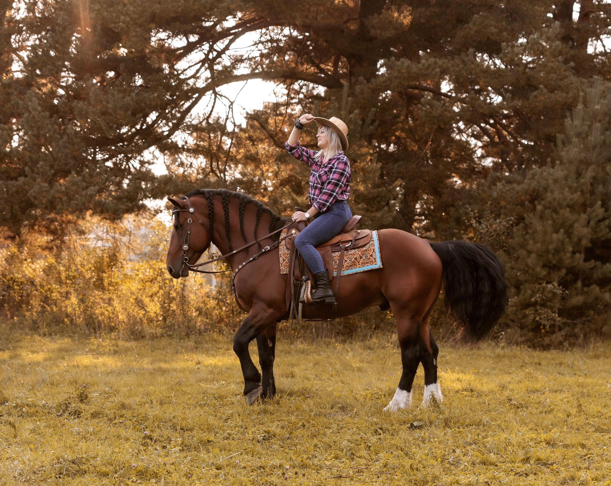 фото с лошадьми в Калуге