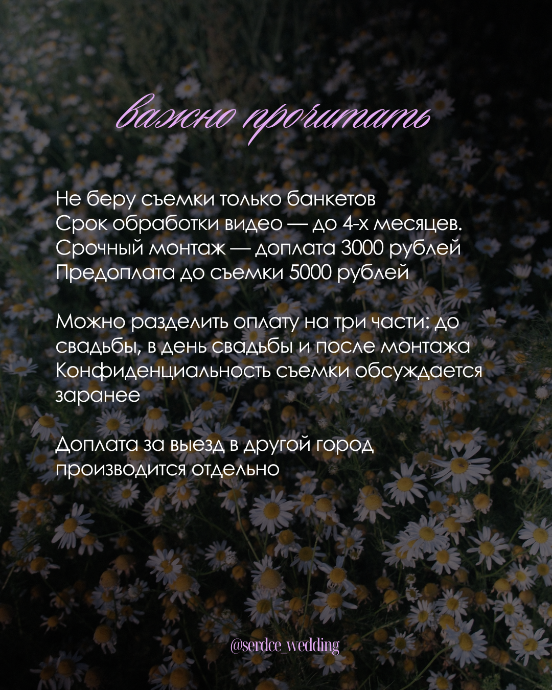 Свадебная съемка. Видеограф Ярославль