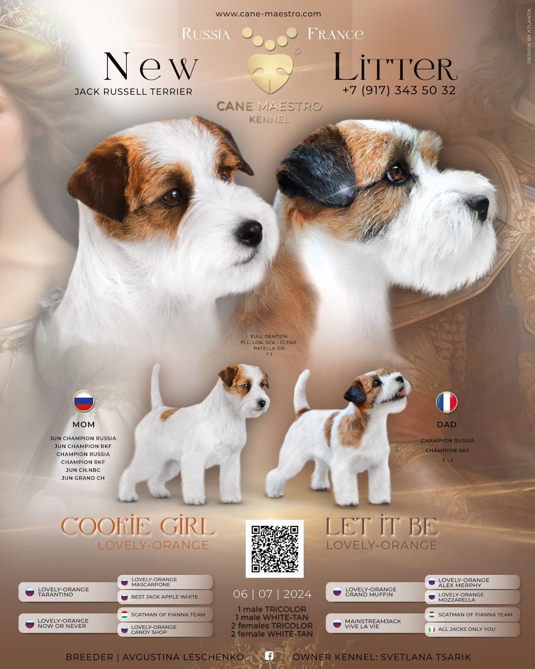 LITTERS. CANE MAESTRO — kennel Jack Russell Terrier