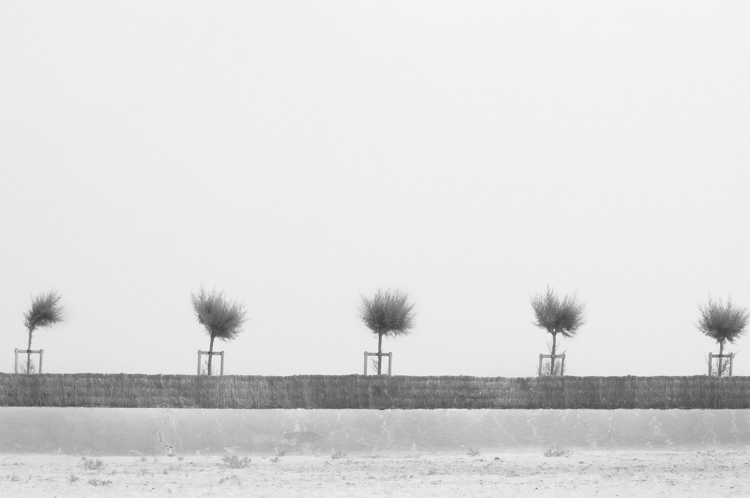 Стоимость услуг — Фотограф Татьяна Байкова. Фотограф Татьяна Байкова — официальный сайт