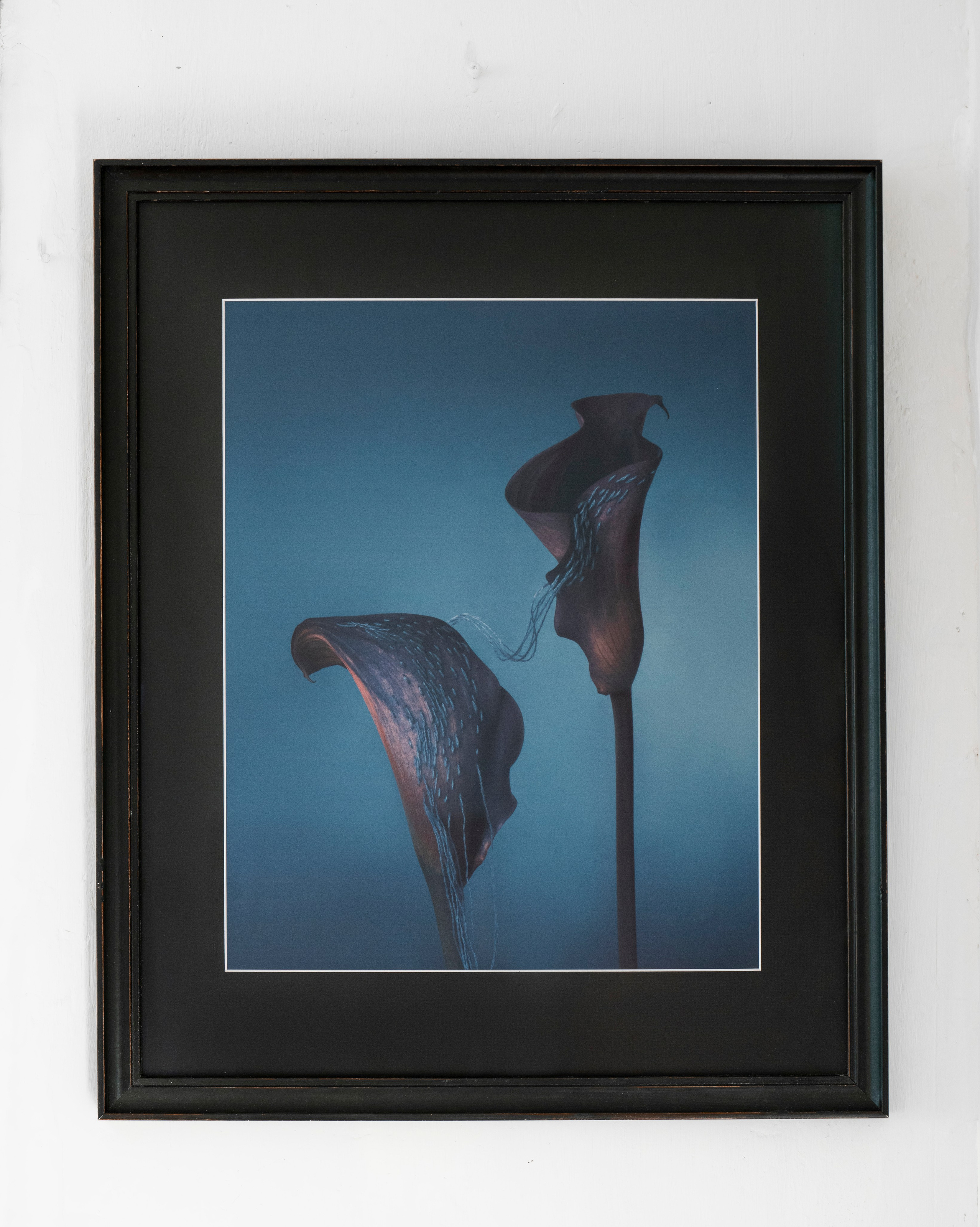 Принты. Художественная фотография в Санкт-Петербурге Алина Берёзкина