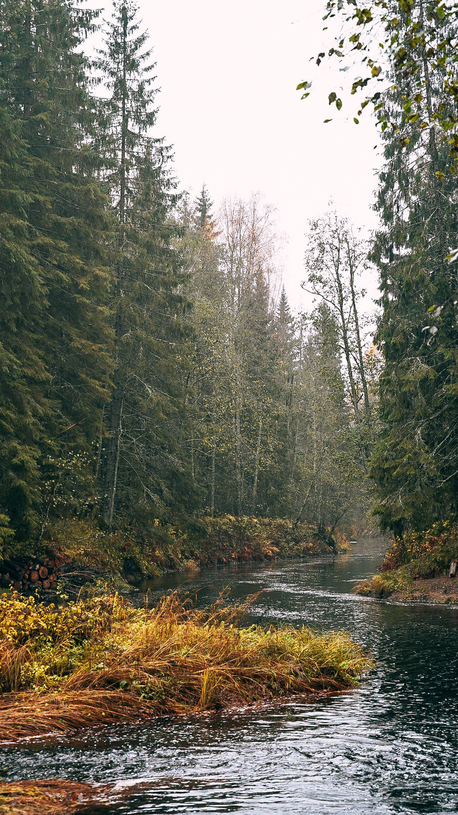 Человек с фотокамерой