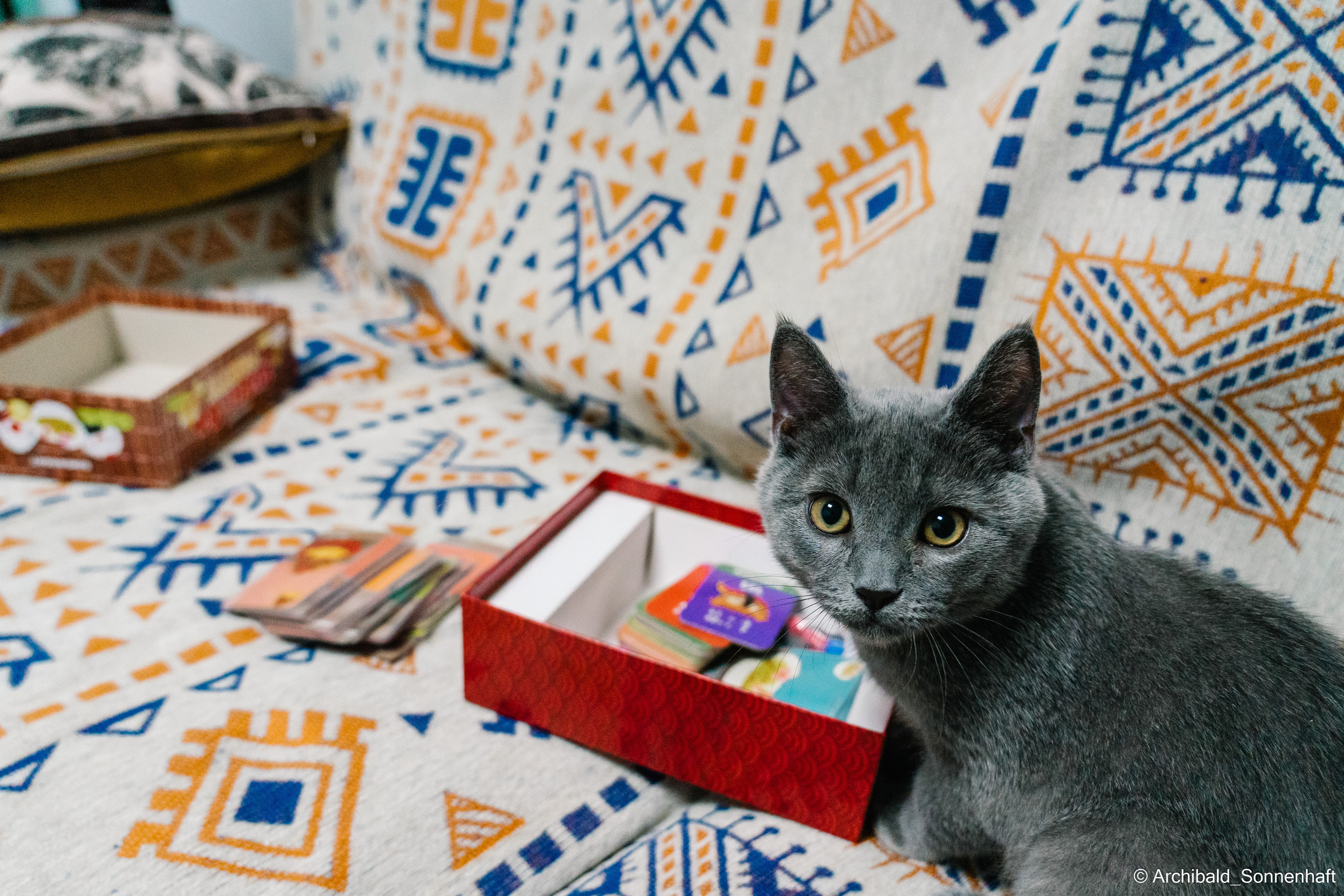 Chinese and Kyrgyzstan’s family!. Photographer in Guangzhou, China. Archibald Sonnenhaft