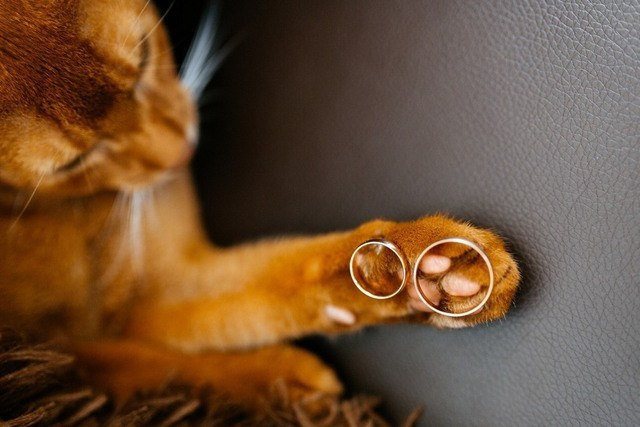 Свадебный фотограф в Москве проводит фотосессию – фото обручального кольца