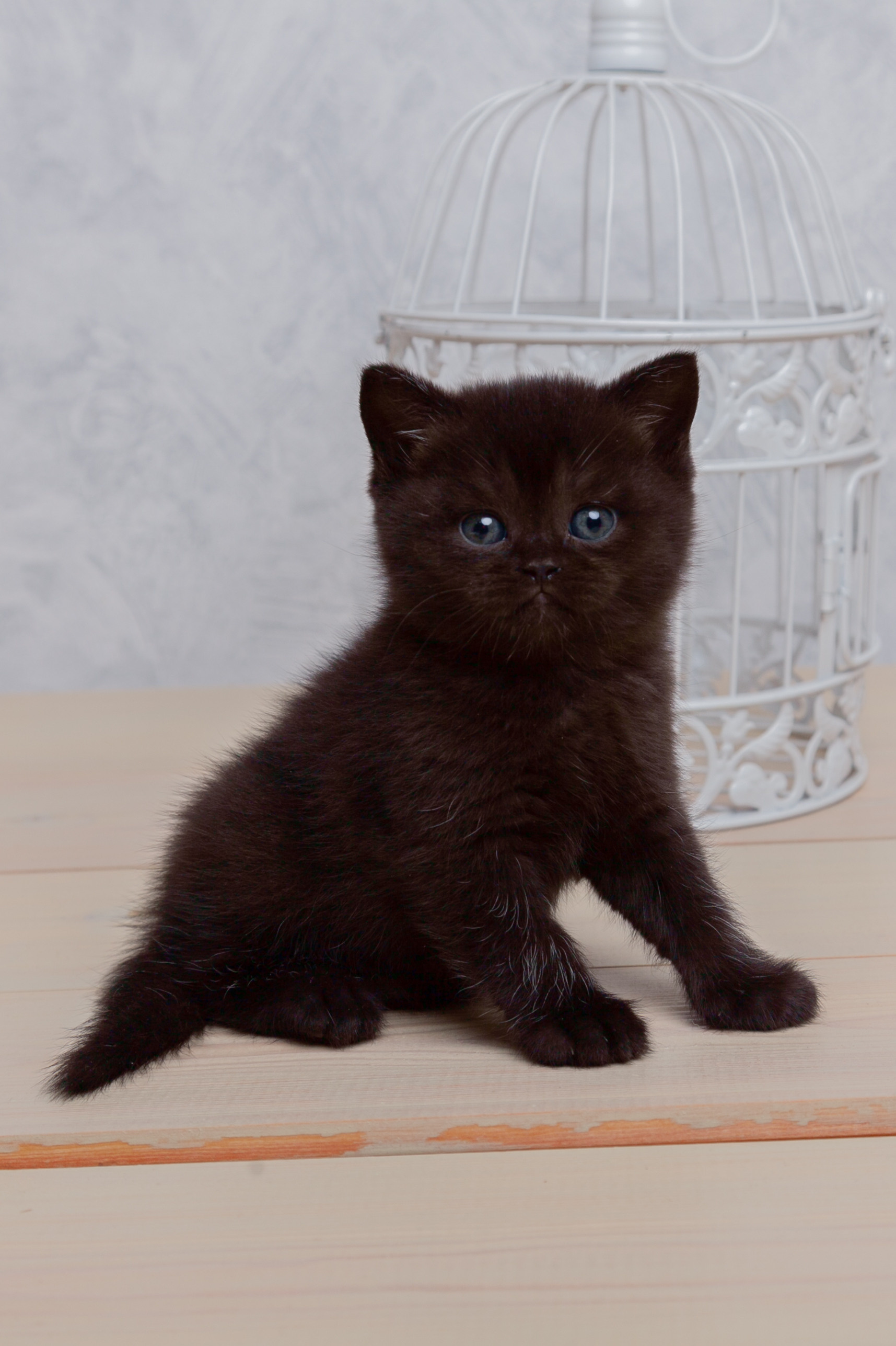 Фотограф Татьяна Воронова, Детские и Семейные фото