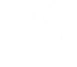 Качественный продакшн для вашего бизнеса — фотосъемка, видеосъемка, создание контента