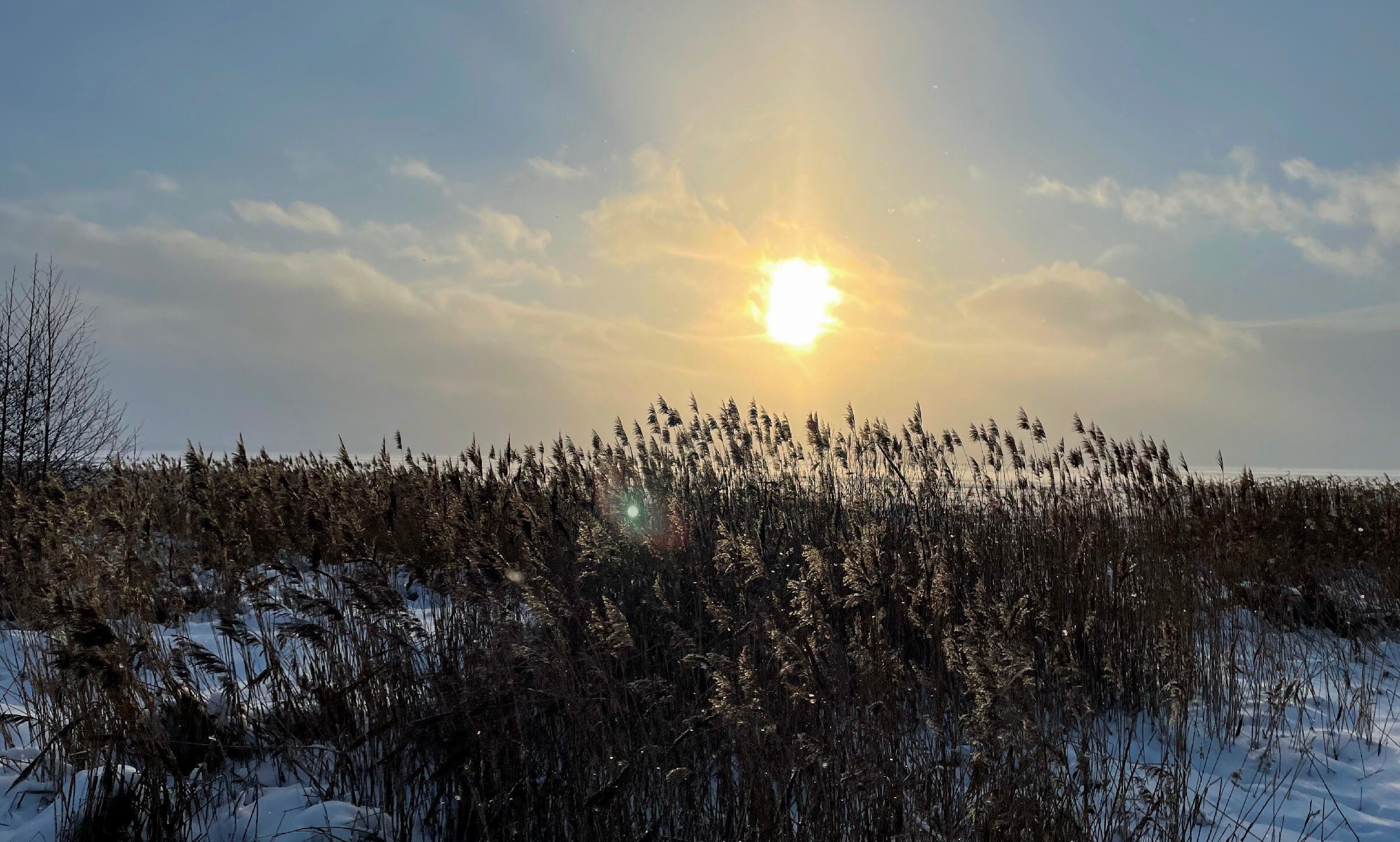 Переславль-Залесский: происхождение названия и что здесь делал Петр I. Проект «Фотокладовка»: блог уличной фотографии в формате street photo
