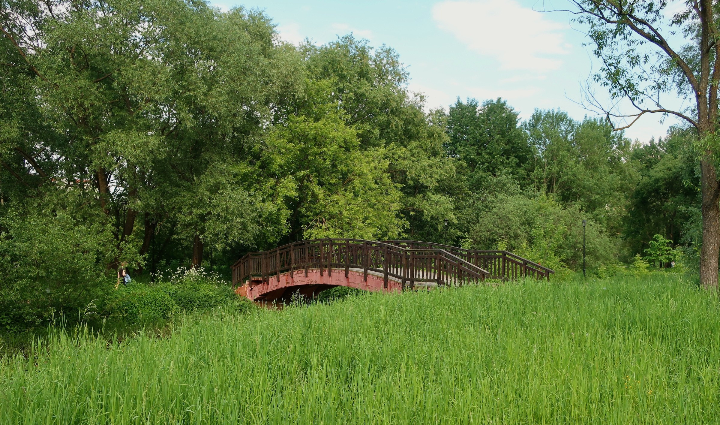 Парки Яуза, Свиблово и Свибловские пруды. Проект «Фотокладовка»: блог уличной фотографии в формате street photo