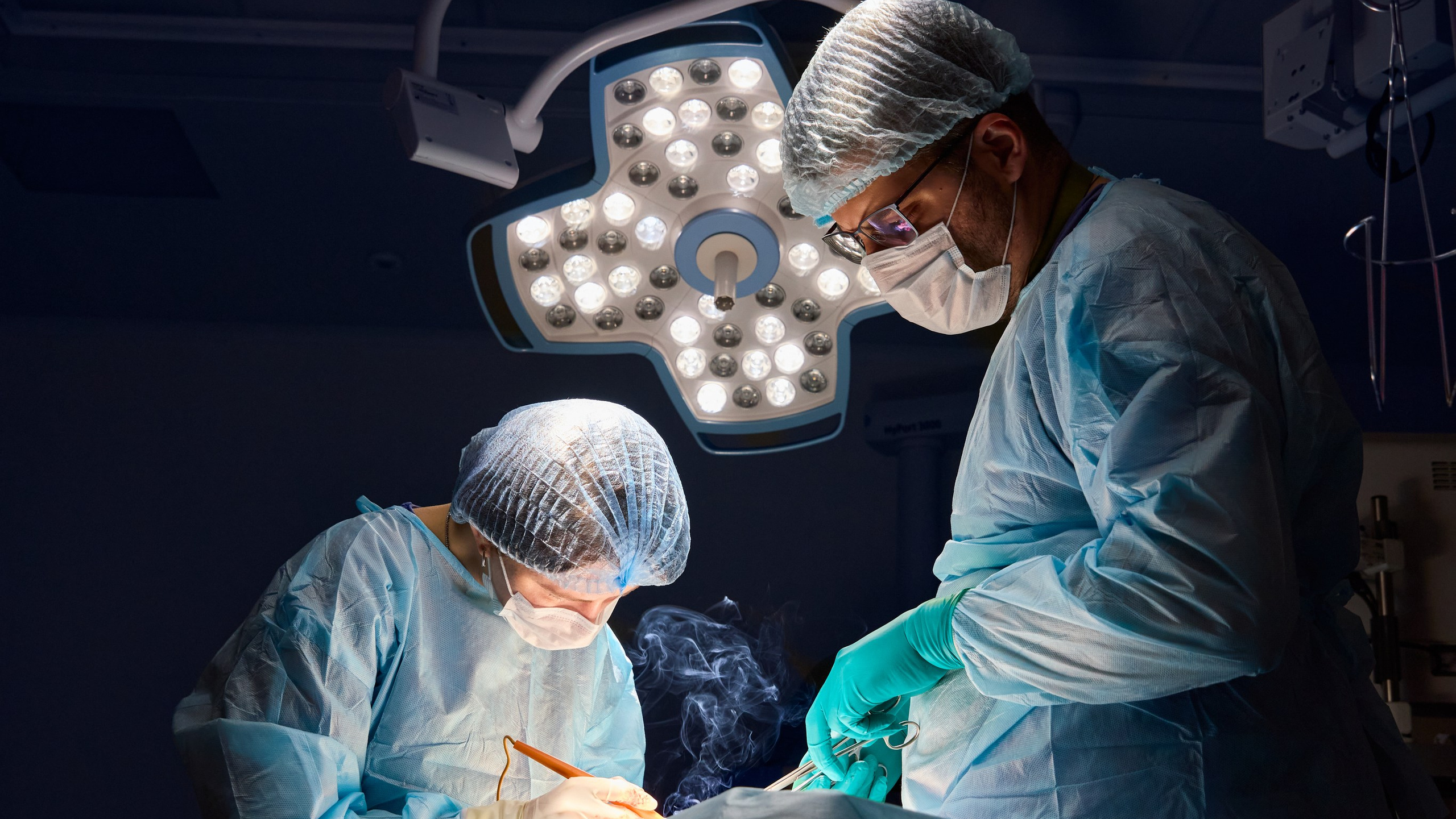 Услуги. Kushlis photo