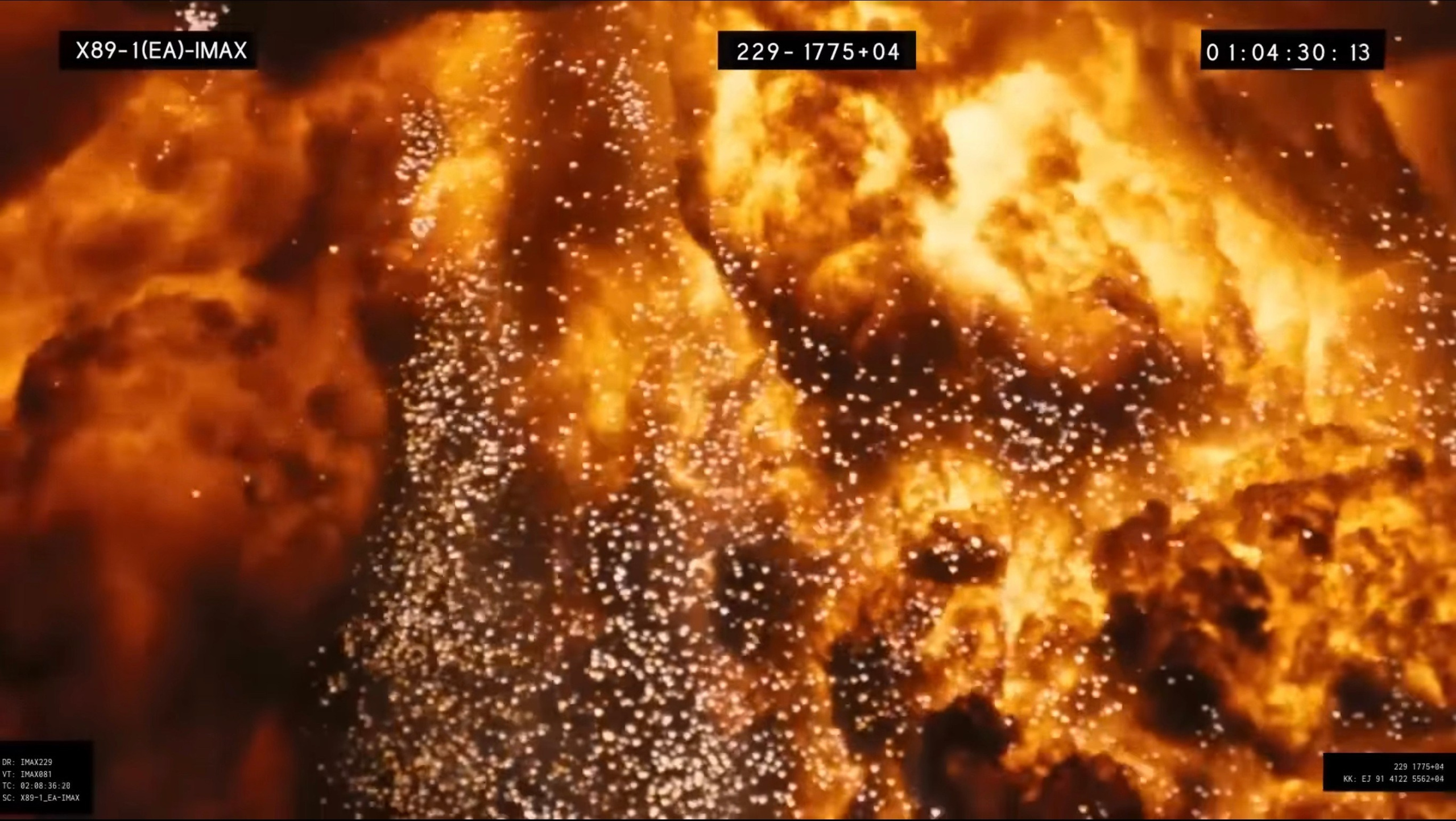 O P P E N H E I M E R. ANNA — PHOTOGRAPHER