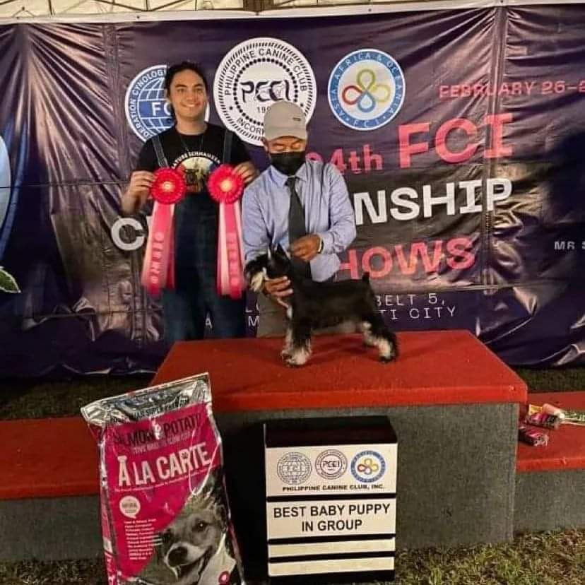 Новости. WAISER TAU kennel