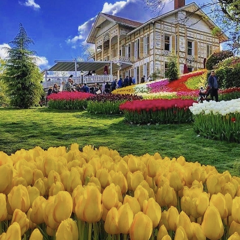 ФОТОТУР в Стамбул. Фотограф Алёна Рубцова. Фотокниги. Краснодар