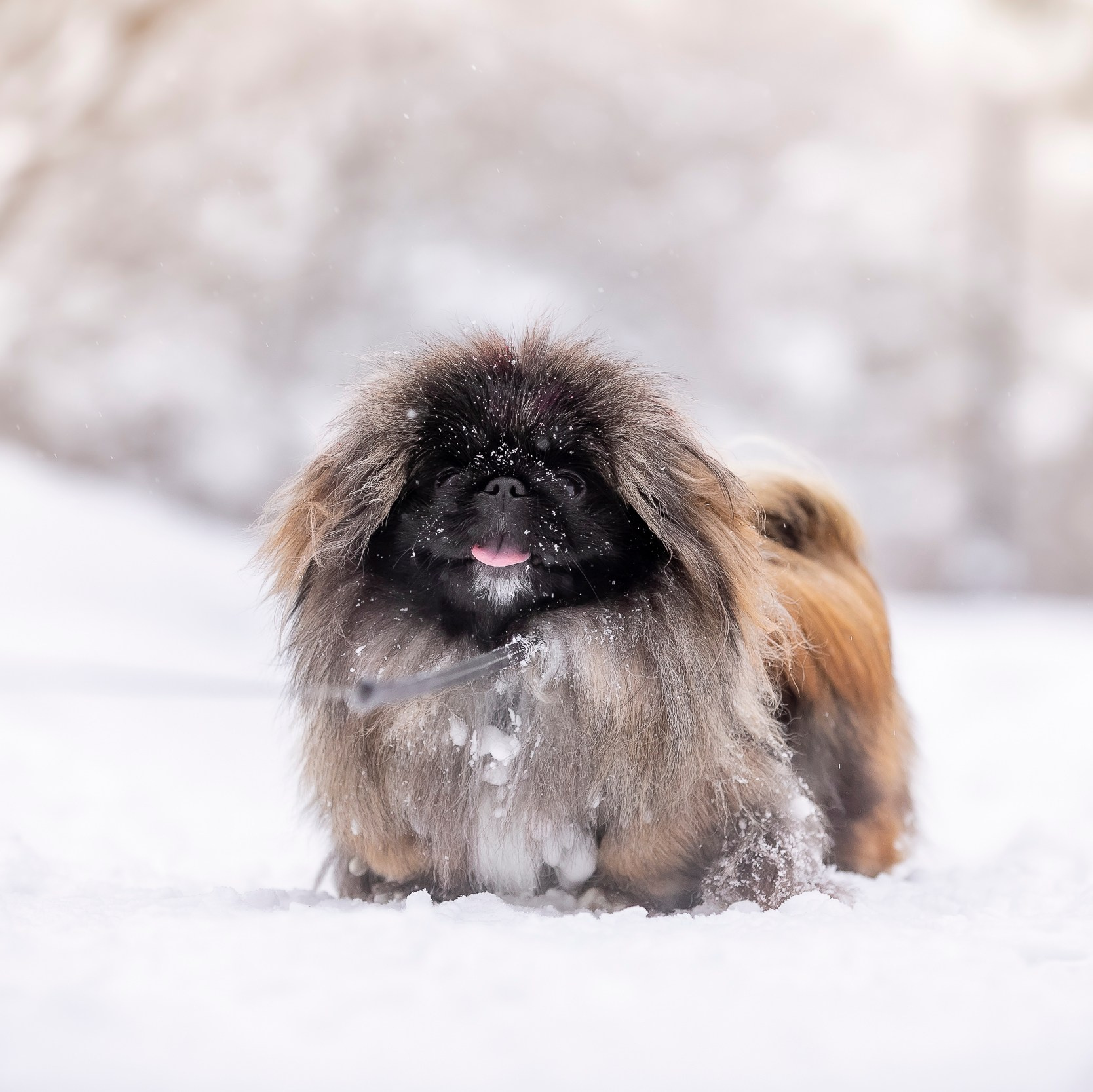 Главная. Фотограф — видеограф Алиса Дружинина