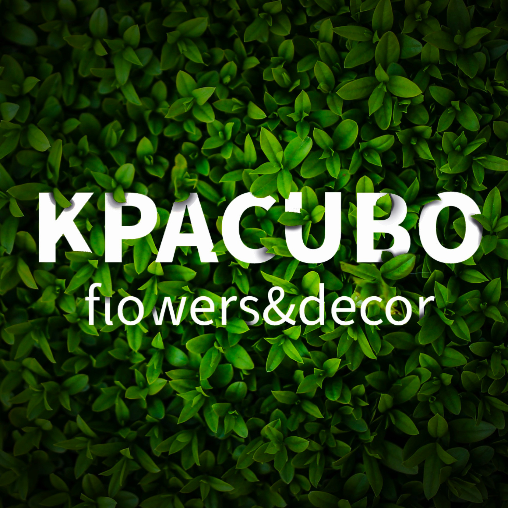 ЛОГО/галерея. • Blue Feather • фотография, графический дизайн, Комсомольск-на-Амуре