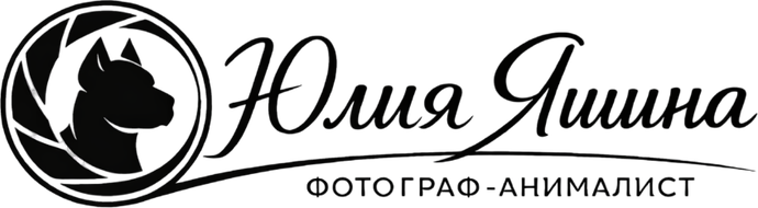 yuliayashina.ru