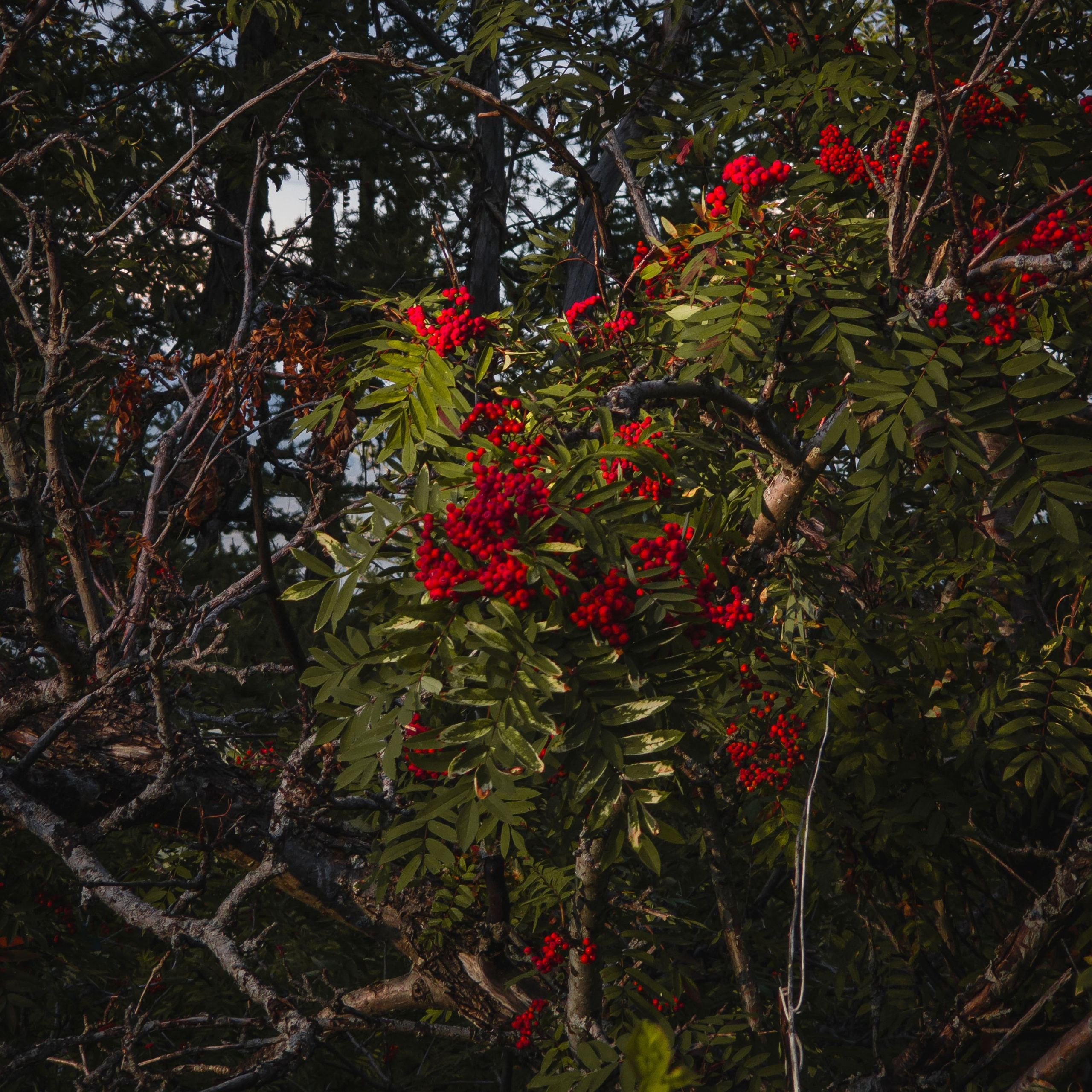 Экспедиция ВКО с NatGeo Qaz x Xiaomi 2023. Свадебный и Студийный фотограф из Казахстана Артем Орлянский