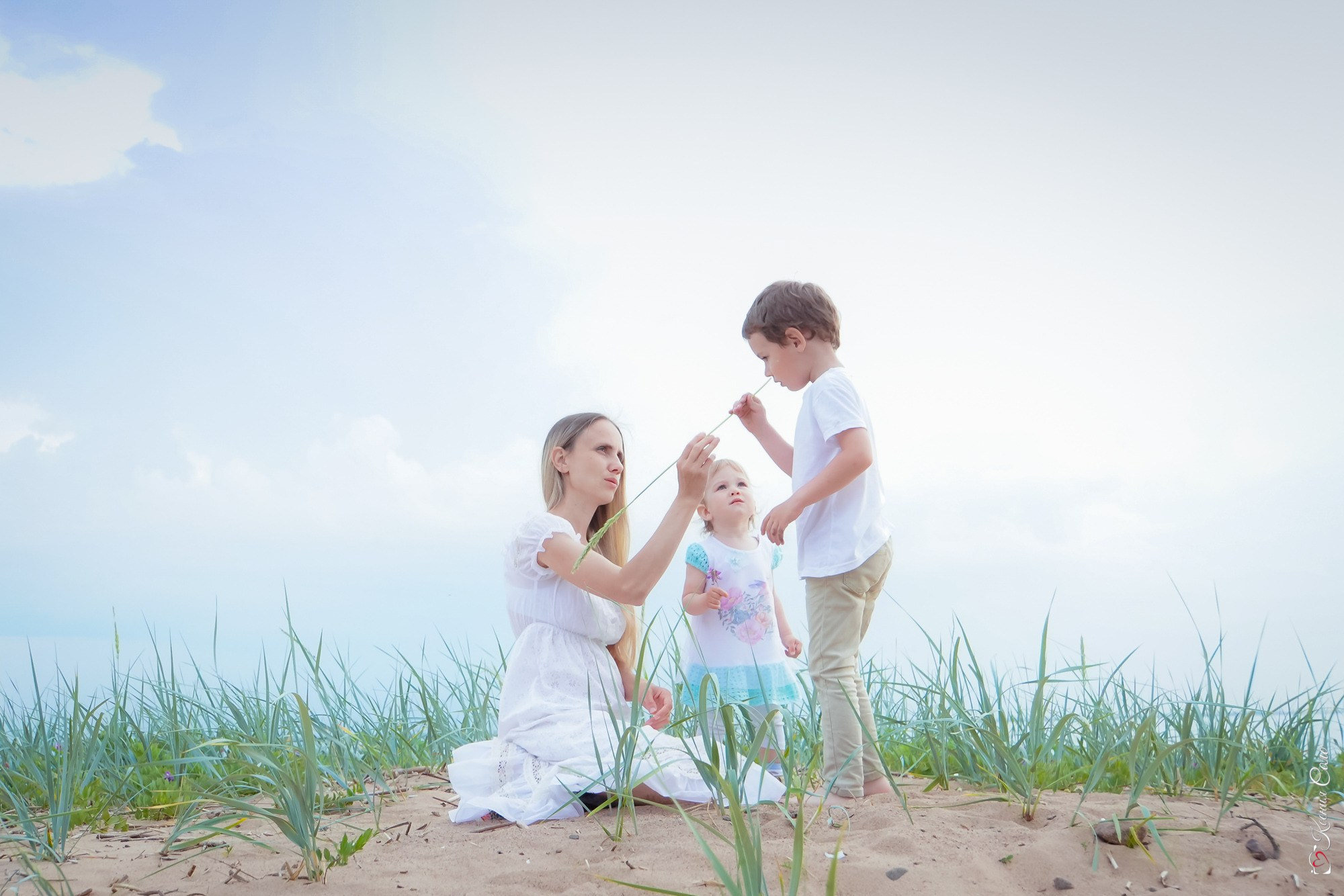 Стоимость услуг. Фотограф Ксения Соло