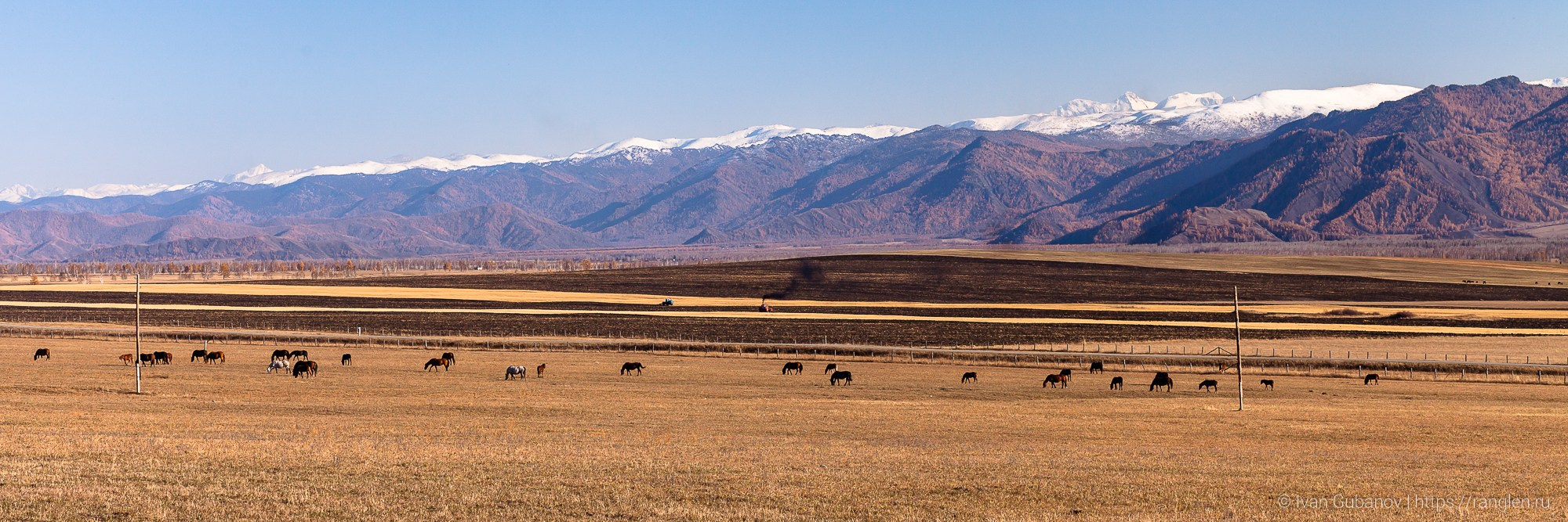 Путешествие на Алтай в 2015 году. Фотограф Иван Губанов
