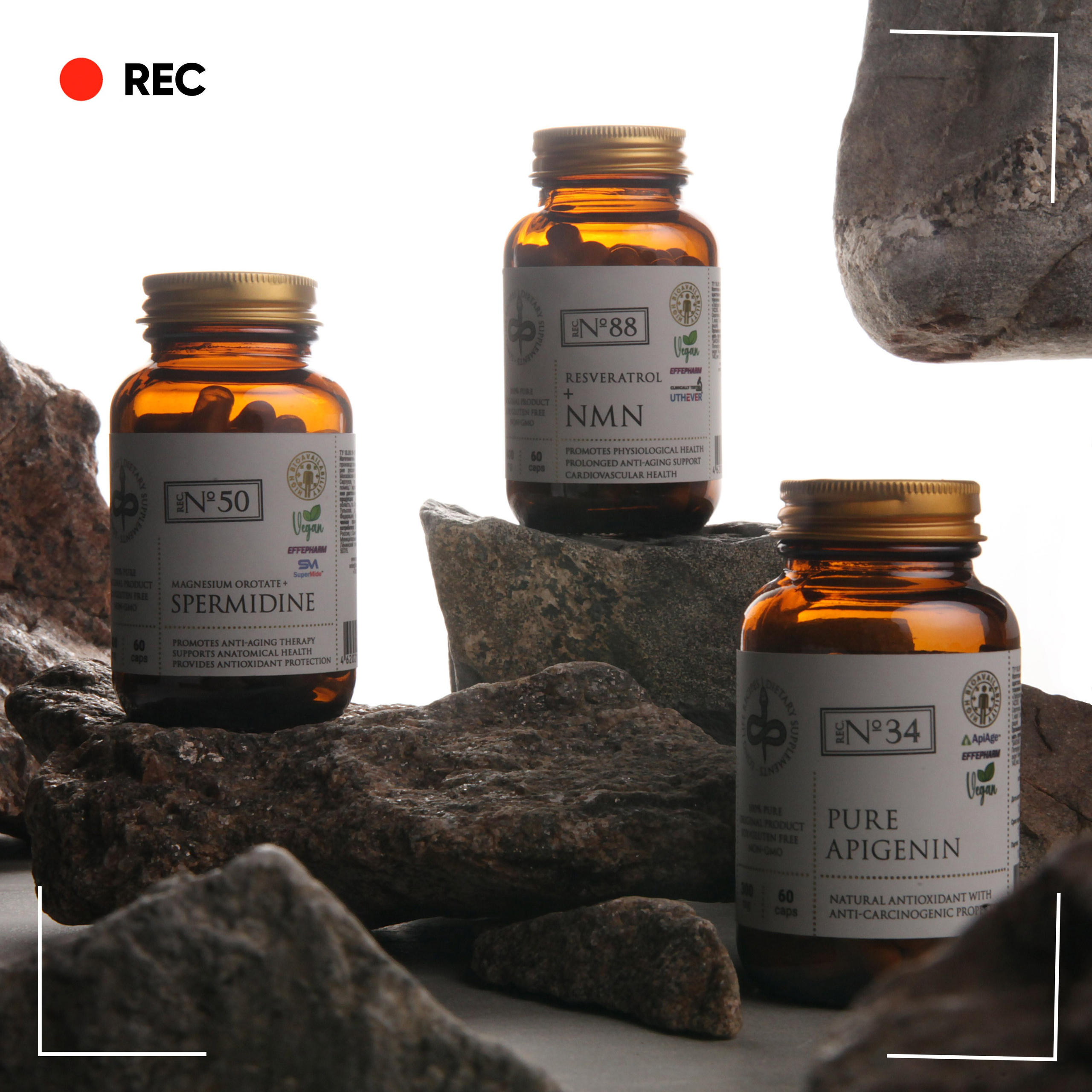 Контент-агентство