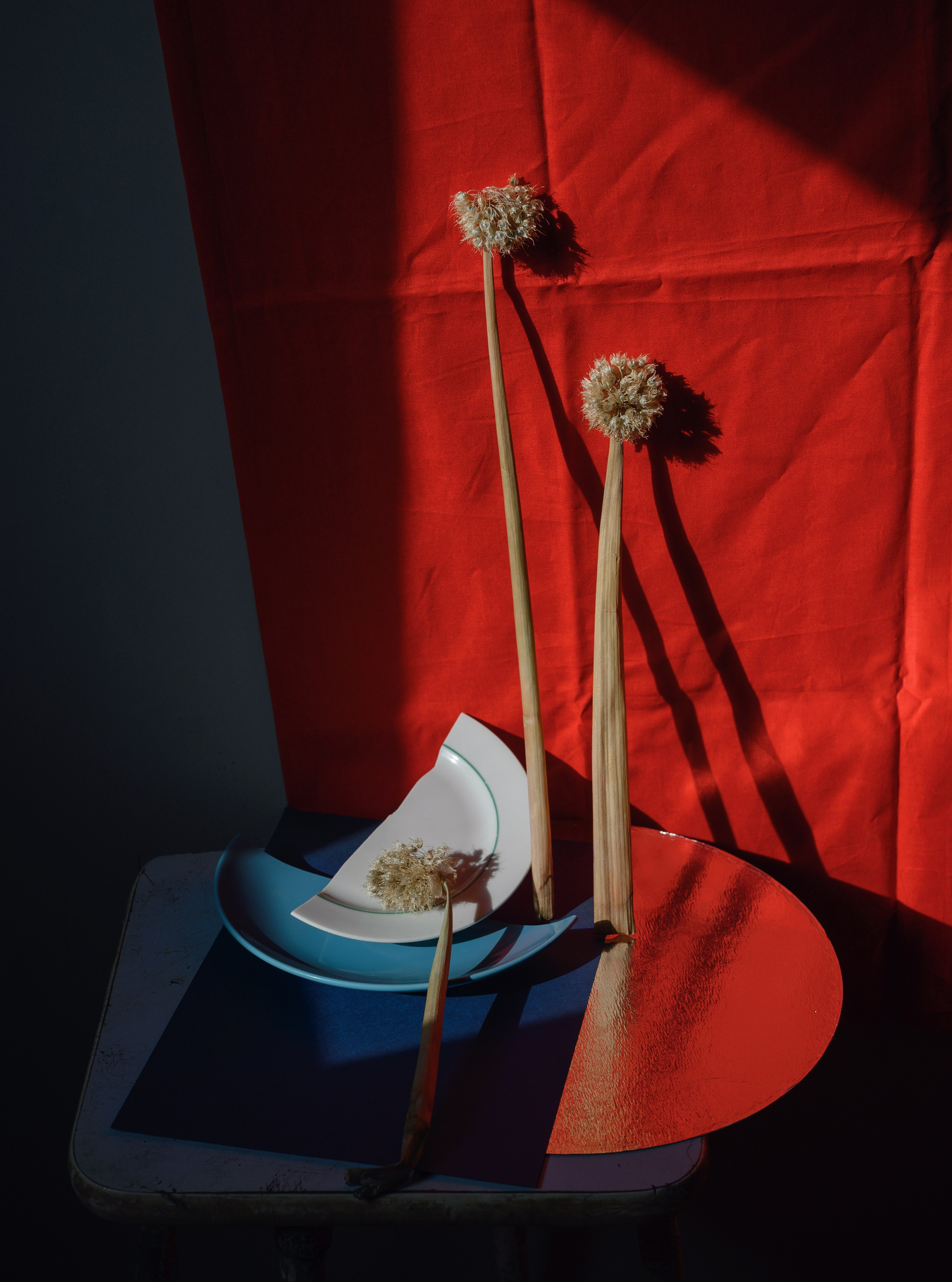 Состоялось открытие выставки «Тайная жизнь. Портрет и натюрморт». Фотограф Елена Хазина, Рязань