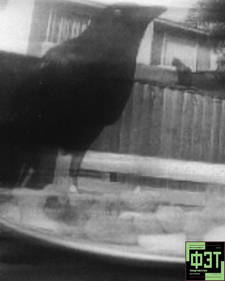 Наталья Переверзева