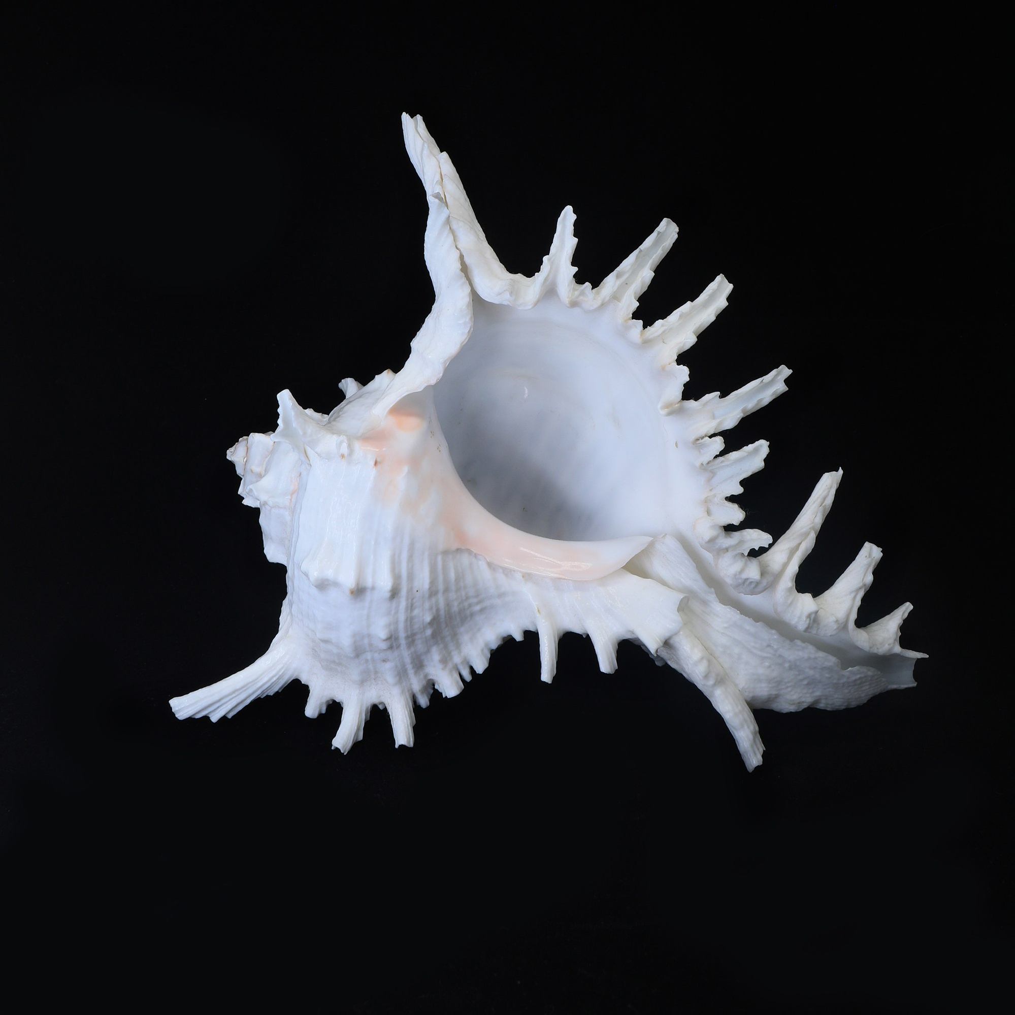 Для вас. Фотография, ретушь, сканирование, восстановление старых фото, интерьерная съёмка, студия. Данилов Александр, Москва