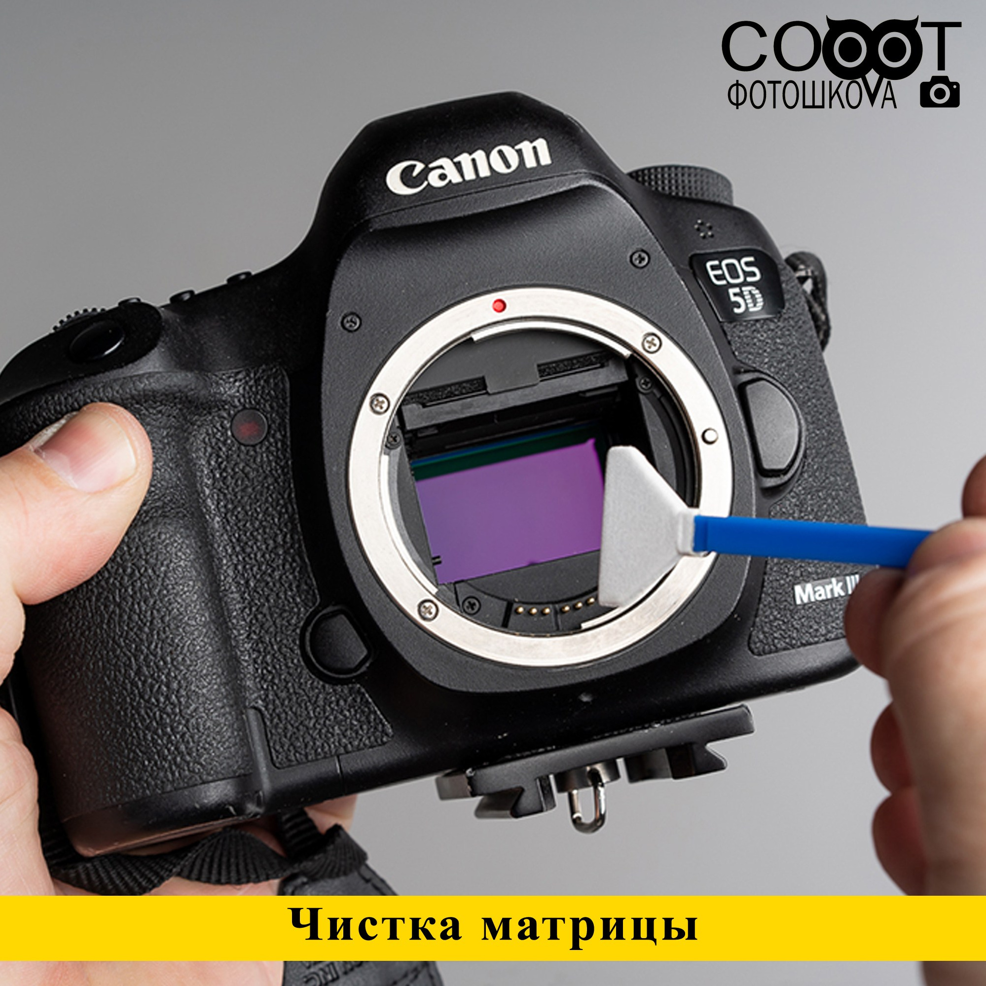 Услуги. Фотошкола Кемерово