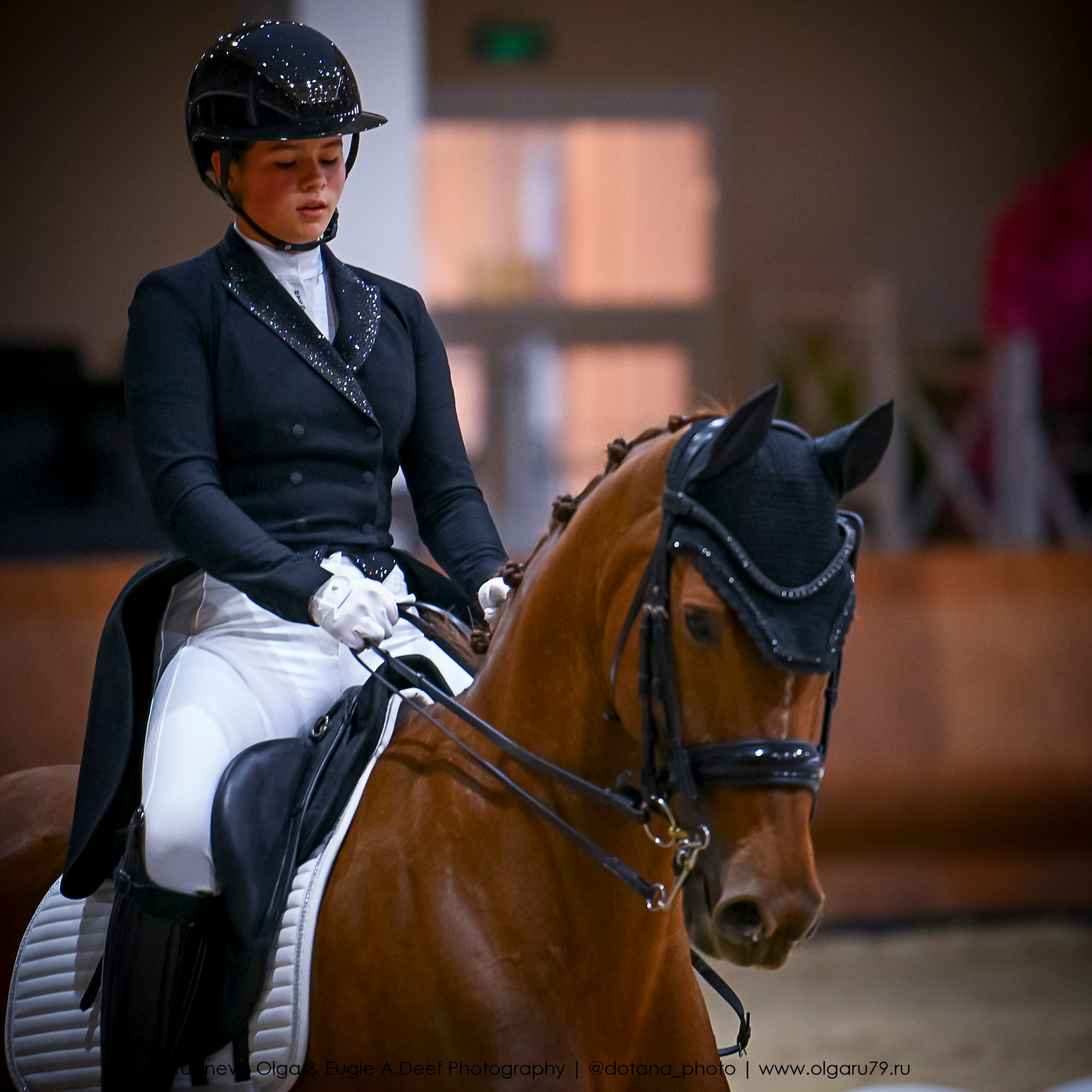 2025.10.30 и 31 — КСК Виват, Россия! (выездка). ТУРНИРНАЯ КОННАЯ ФОТОГРАФИЯ, Руднева Ольга и Евгений Адеев