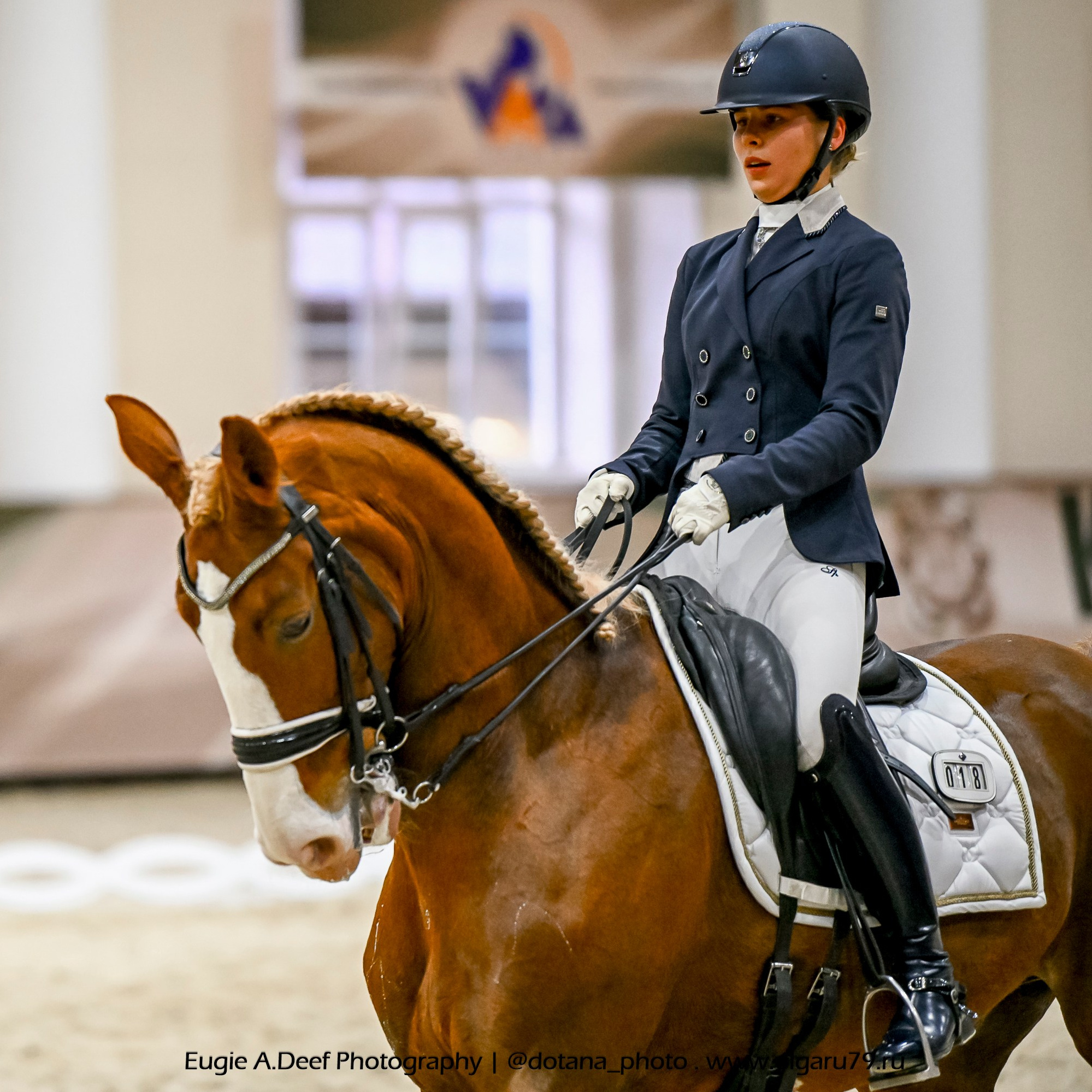 2025.10.30 и 31 — КСК Виват, Россия! (выездка). ТУРНИРНАЯ КОННАЯ ФОТОГРАФИЯ, Руднева Ольга и Евгений Адеев